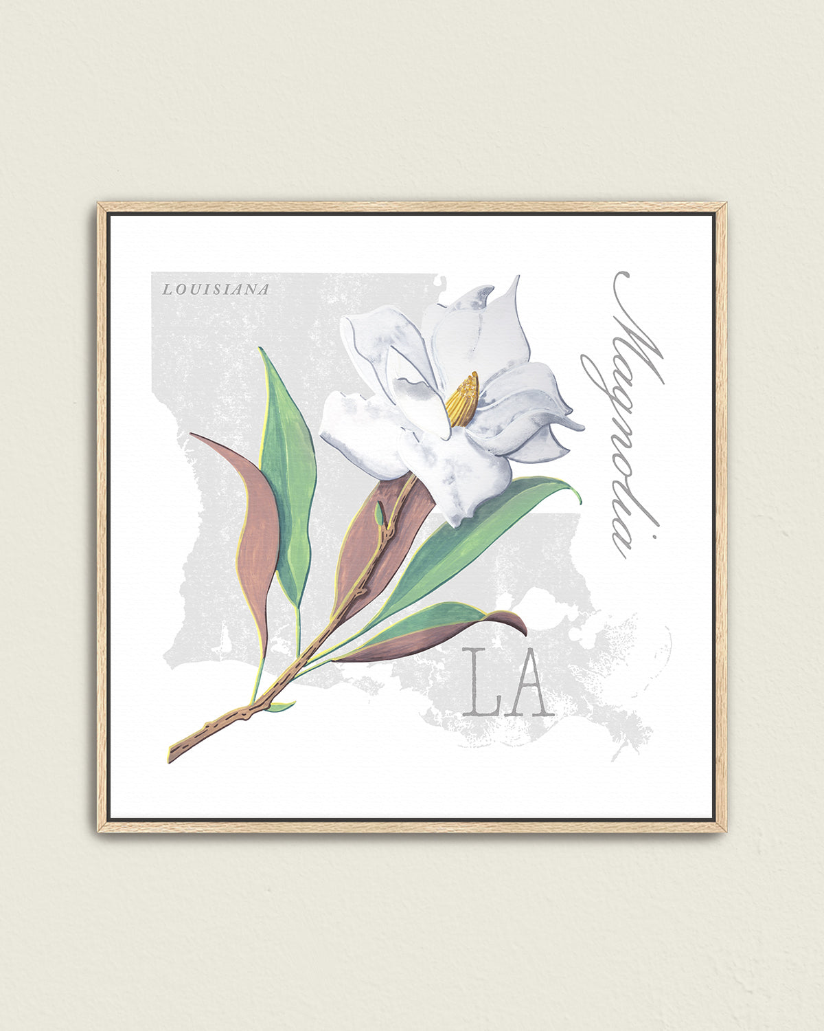 Louisiana (Magnolia) state flower fine art print, classic botanical style on white background. Oak frame available.