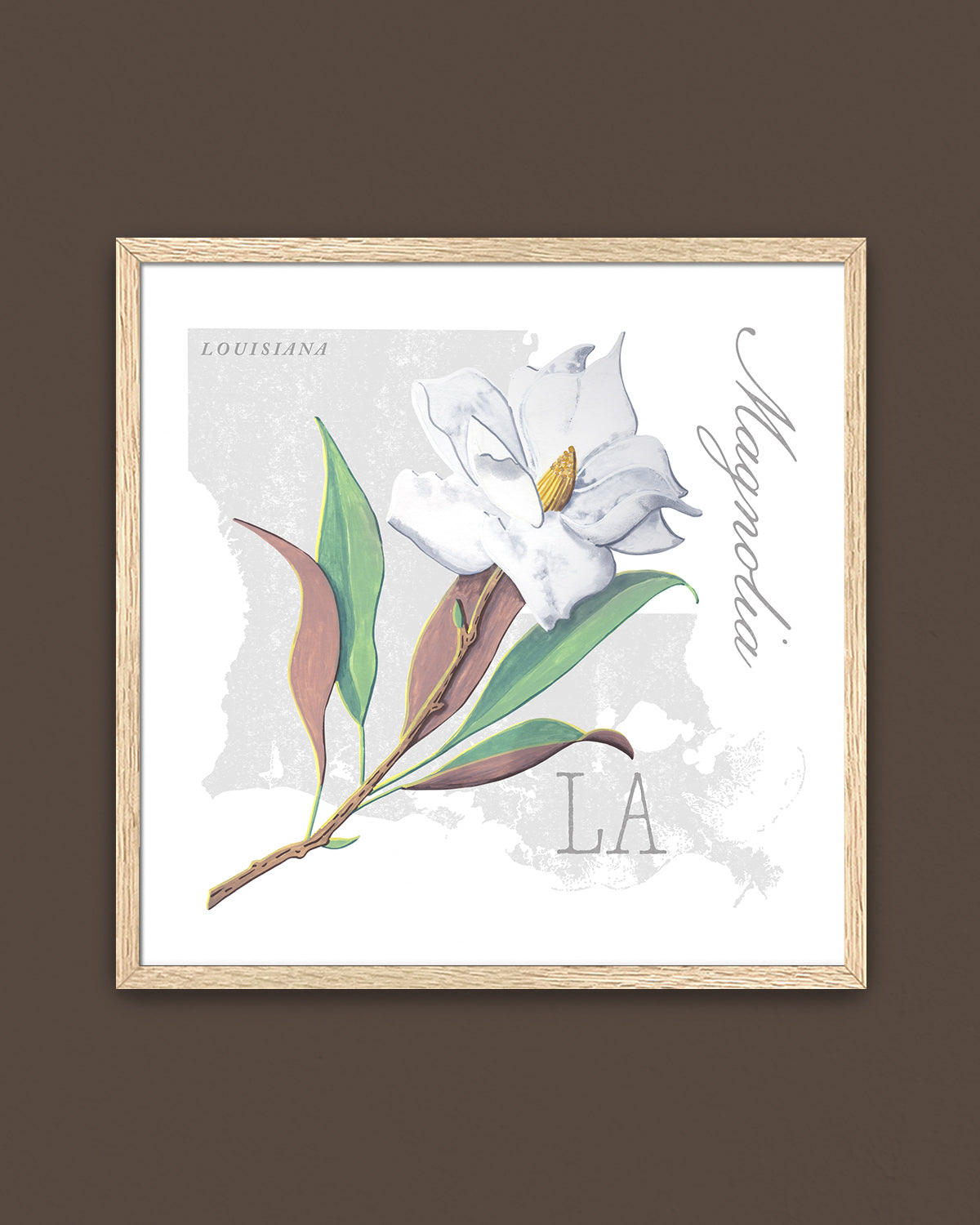 Louisiana (Magnolia) state flower fine art print, classic botanical style on white background. Oak frame available.