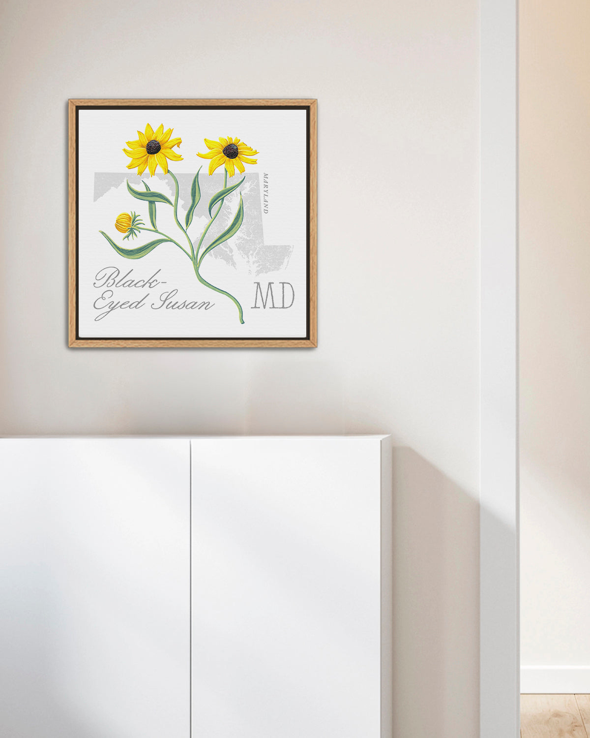 Maryland (Black-Eyed-Susan) state flower fine art print, classic botanical style on white background. Oak frame available.