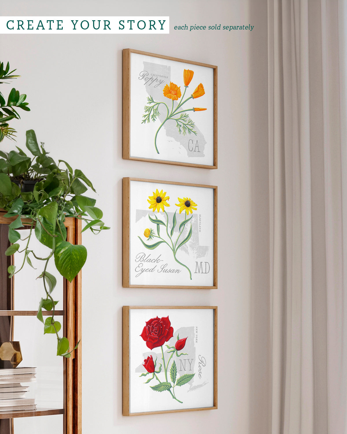 Maryland (Black-Eyed-Susan) state flower fine art print, classic botanical style on white background. Oak frame available.