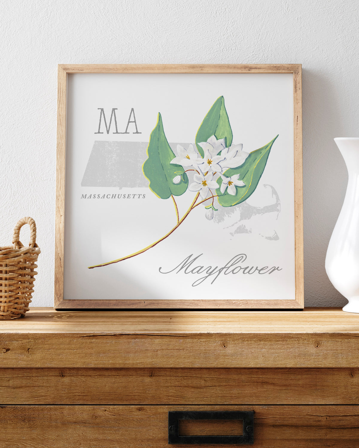Massachusetts (Mayflower) state flower fine art print, classic botanical style on white background. Oak frame available.