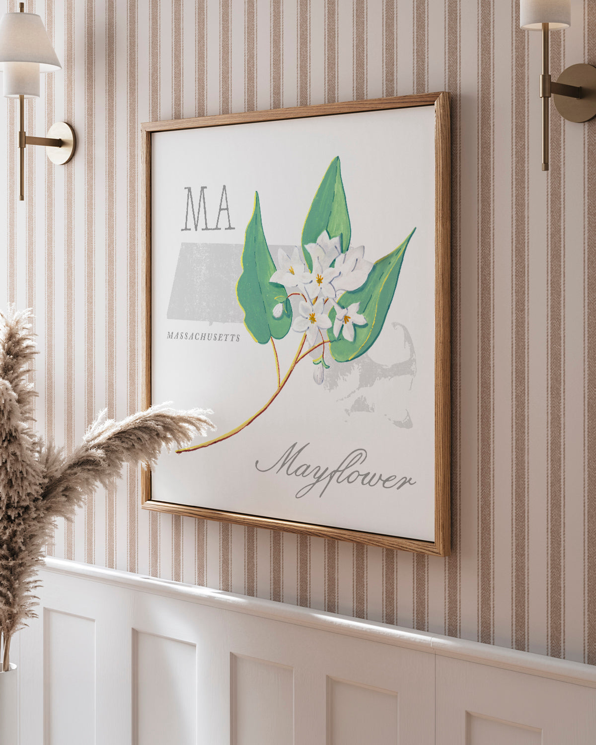 Massachusetts (Mayflower) state flower fine art print, classic botanical style on white background. Oak frame available.