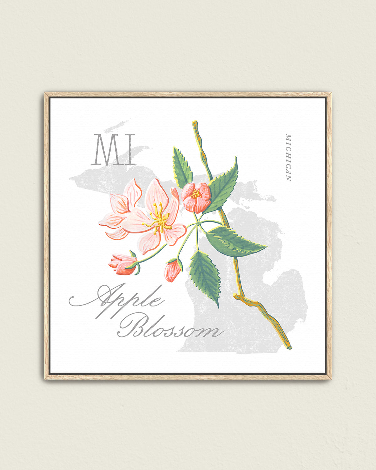 Michigan (Apple Blossom) state flower fine art print, classic botanical style on white background. Oak frame available.