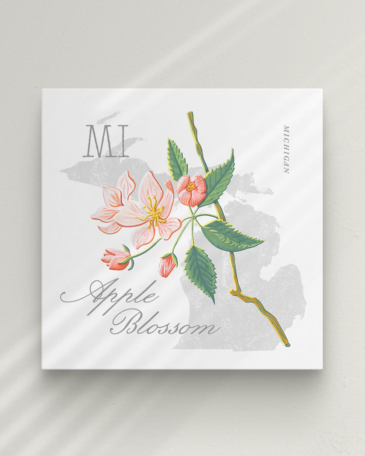 Michigan (Apple Blossom) state flower fine art print, classic botanical style on white background. Oak frame available.