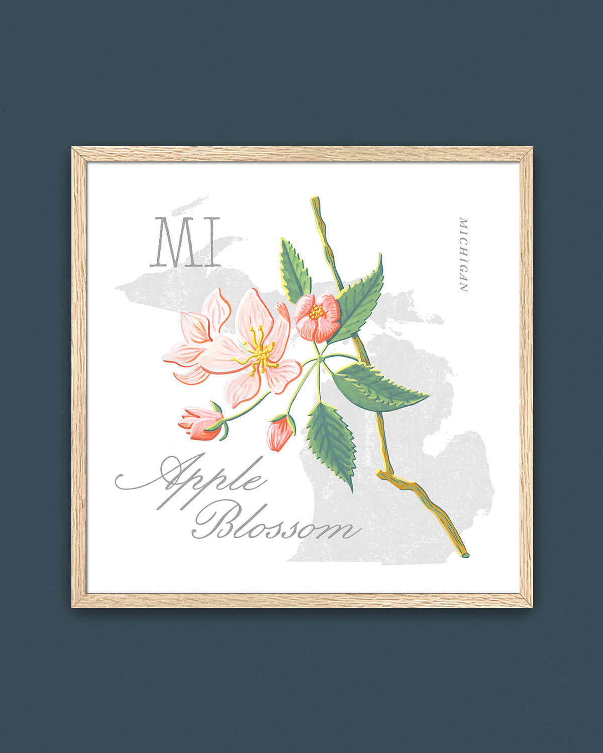 Michigan (Apple Blossom) state flower fine art print, classic botanical style on white background. Oak frame available.