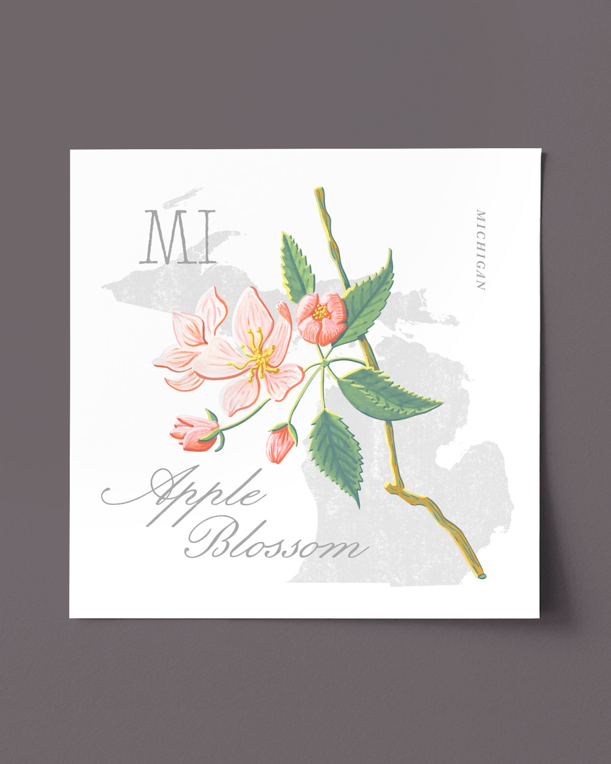 Michigan (Apple Blossom) state flower fine art print, classic botanical style on white background. Oak frame available.