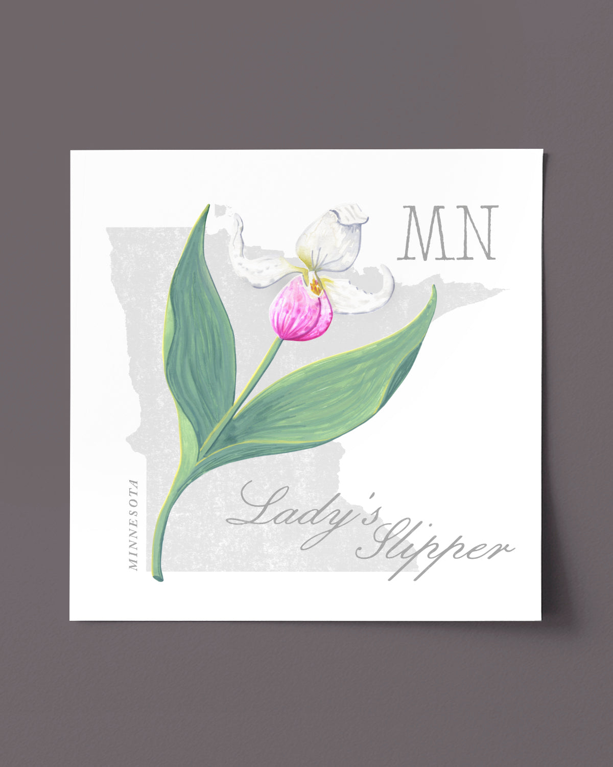 Minnesota (Lady's Slipper) state flower fine art print, classic botanical style on white background. Oak frame available.