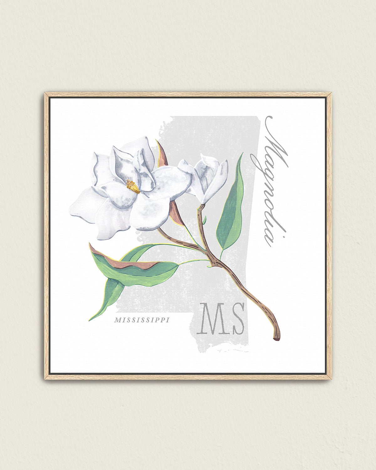 Mississippi (Magnolia) state flower fine art print, classic botanical style on white background. Oak frame available.