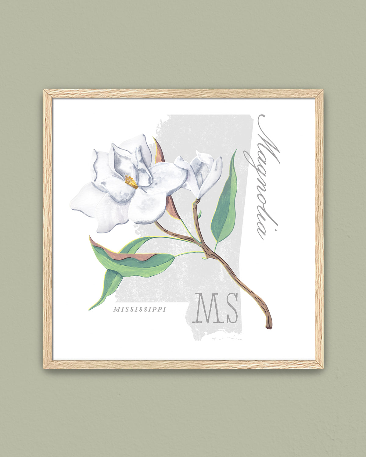 Mississippi (Magnolia) state flower fine art print, classic botanical style on white background. Oak frame available.