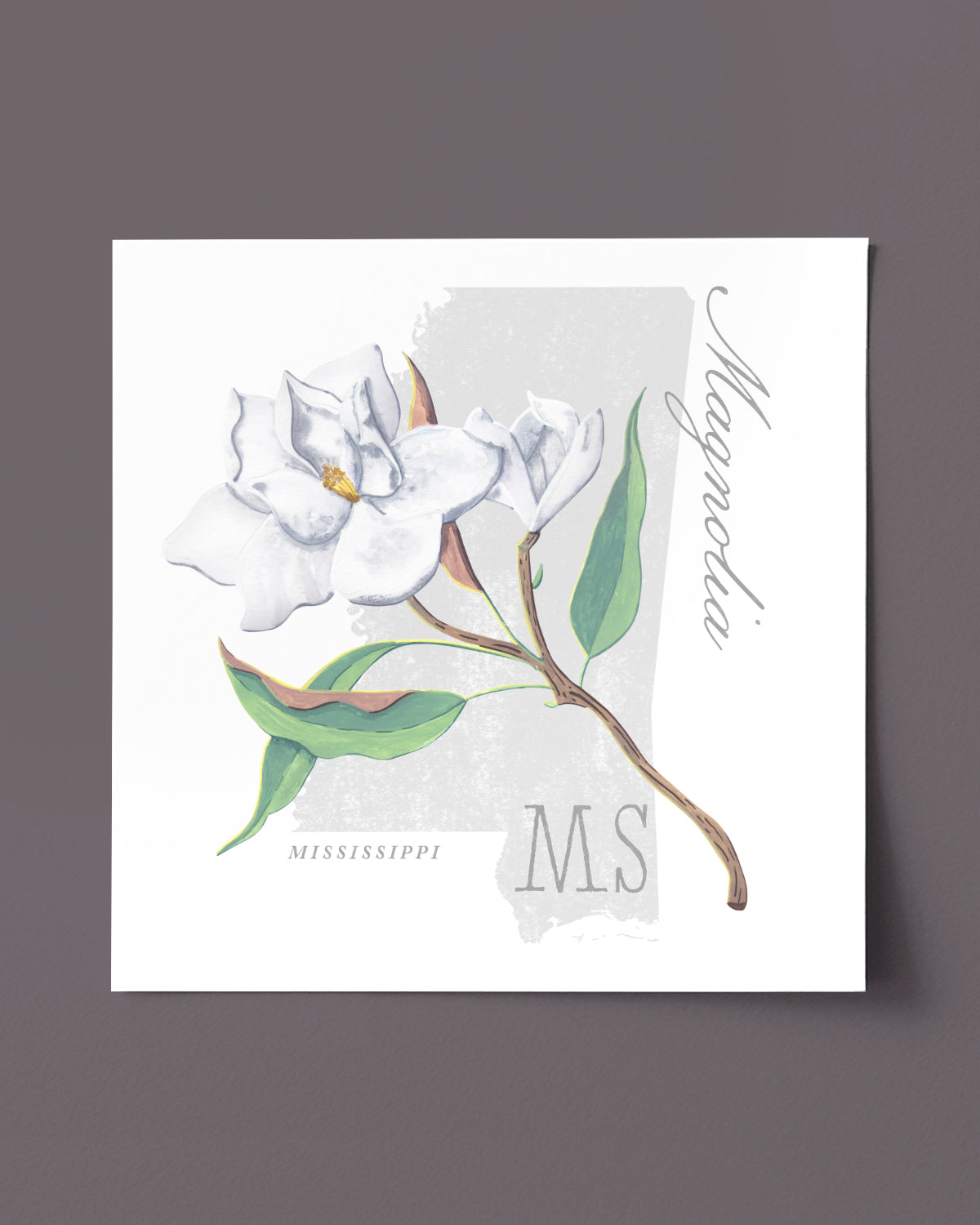 Mississippi (Magnolia) state flower fine art print, classic botanical style on white background. Oak frame available.