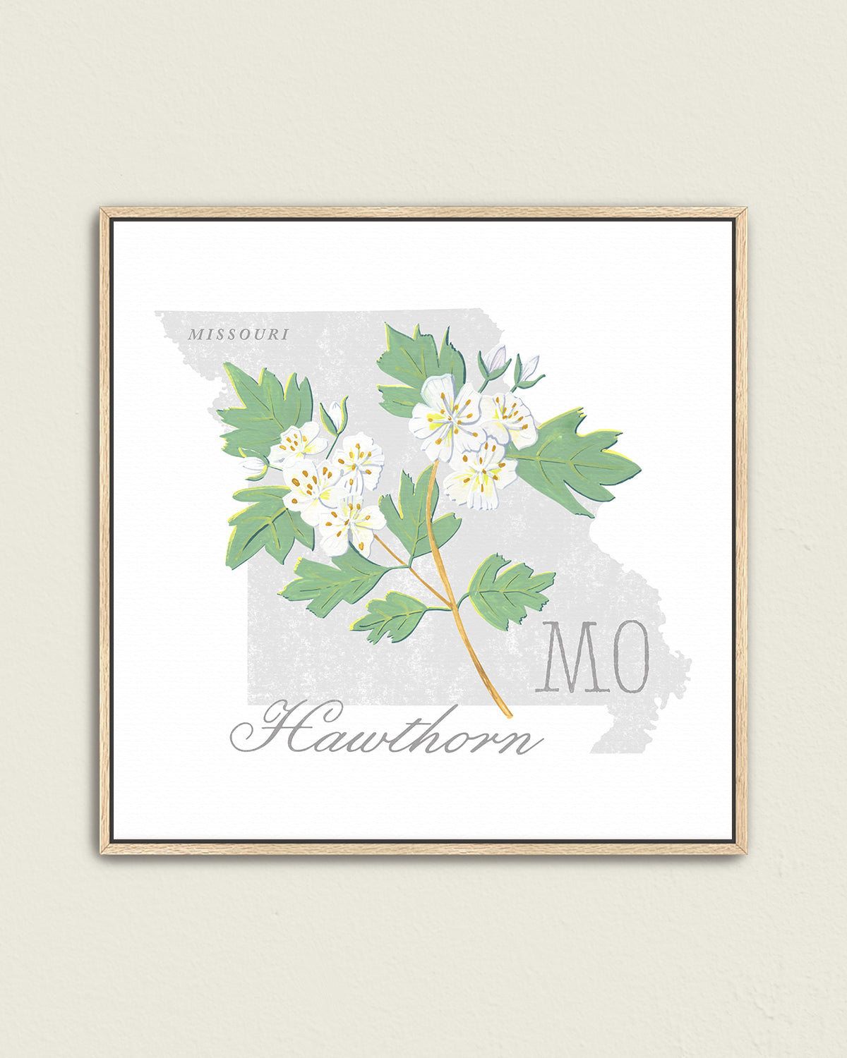 Missouri (Hawthorn) state flower fine art print, classic botanical style on white background. Oak frame available.