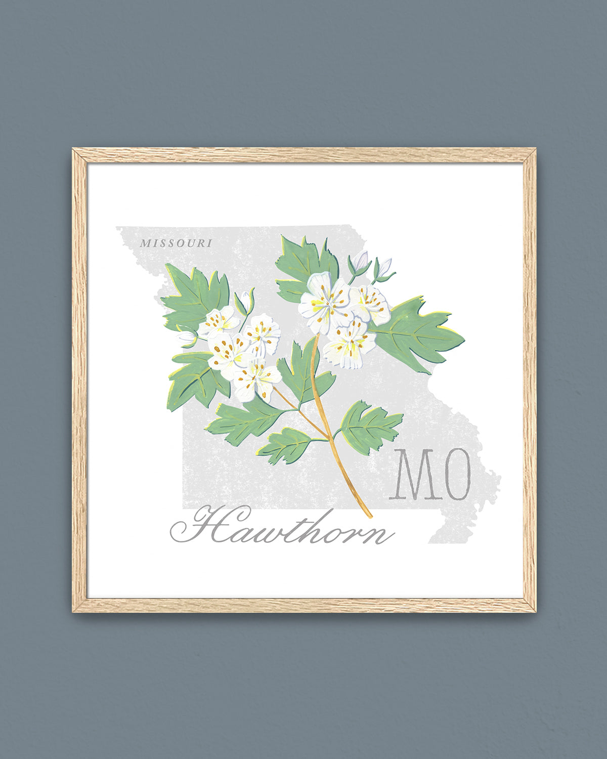 Missouri (Hawthorn) state flower fine art print, classic botanical style on white background. Oak frame available.