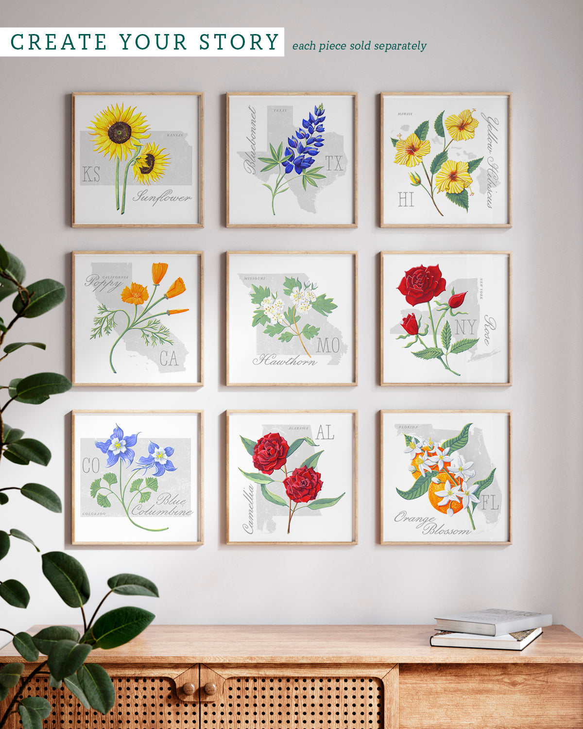 Missouri (Hawthorn) state flower fine art print, classic botanical style on white background. Oak frame available.