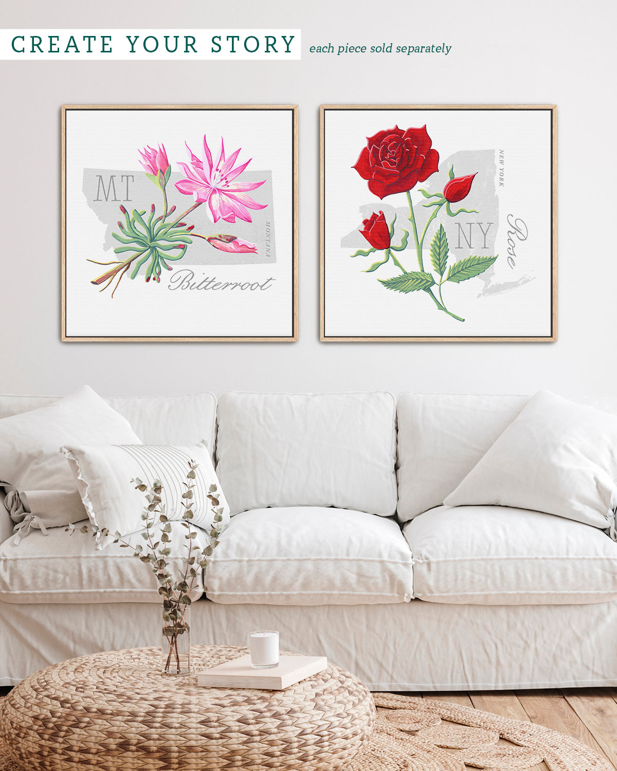 Montana (Bitterroot) state flower fine art print, classic botanical style on white background. Oak frame available.
