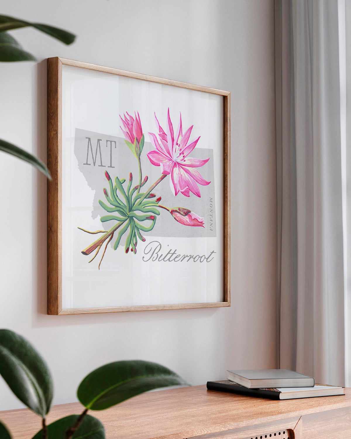 Montana (Bitterroot) state flower fine art print, classic botanical style on white background. Oak frame available.