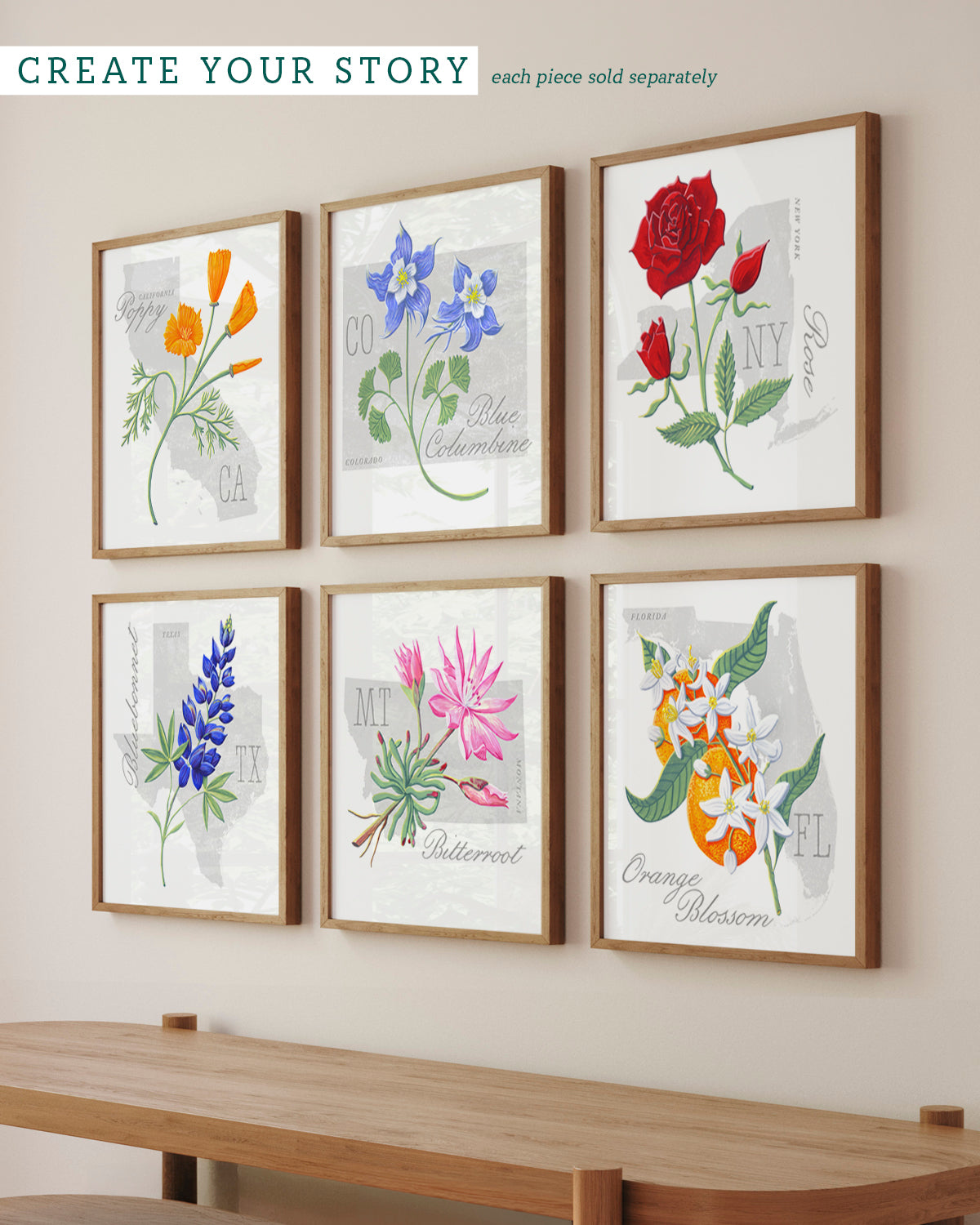 Montana (Bitterroot) state flower fine art print, classic botanical style on white background. Oak frame available.