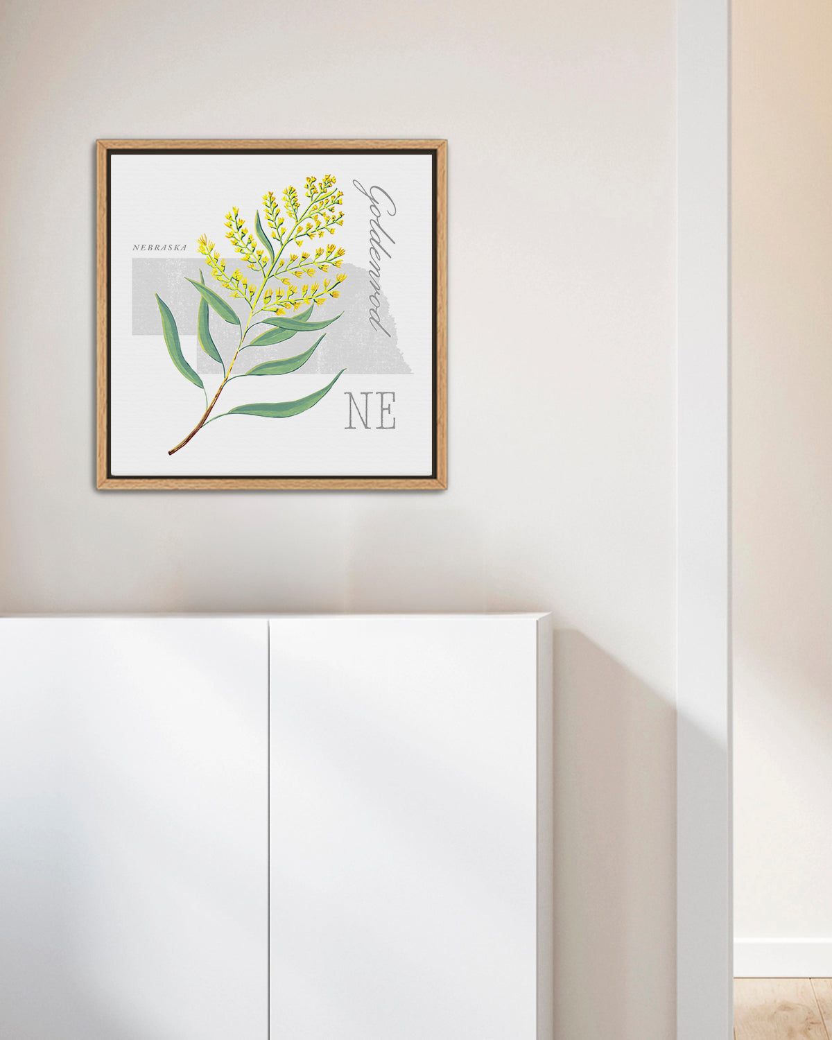 Nebraska (Goldenrod) state flower fine art print, classic botanical style on white background. Oak frame available.