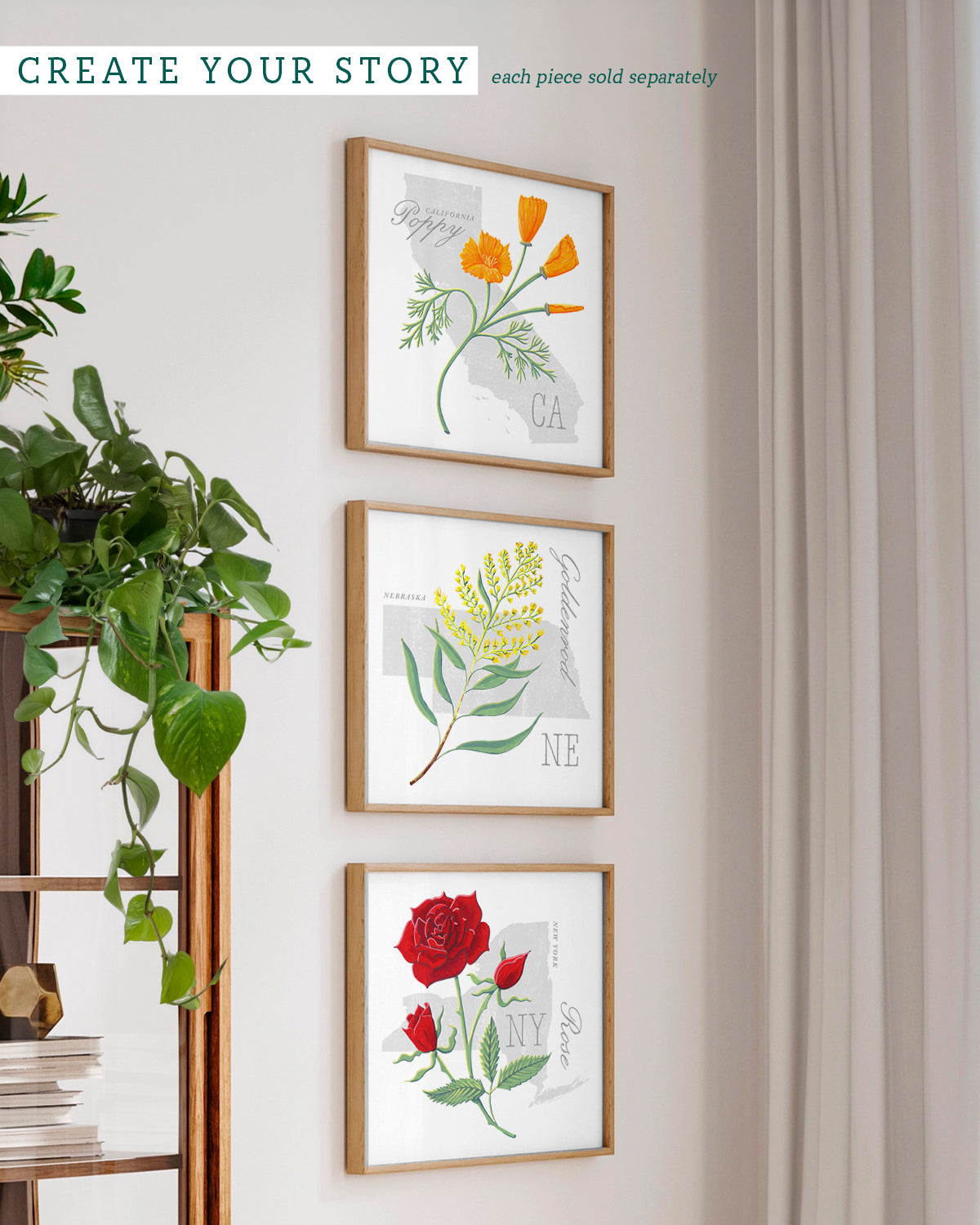 Nebraska (Goldenrod) state flower fine art print, classic botanical style on white background. Oak frame available.