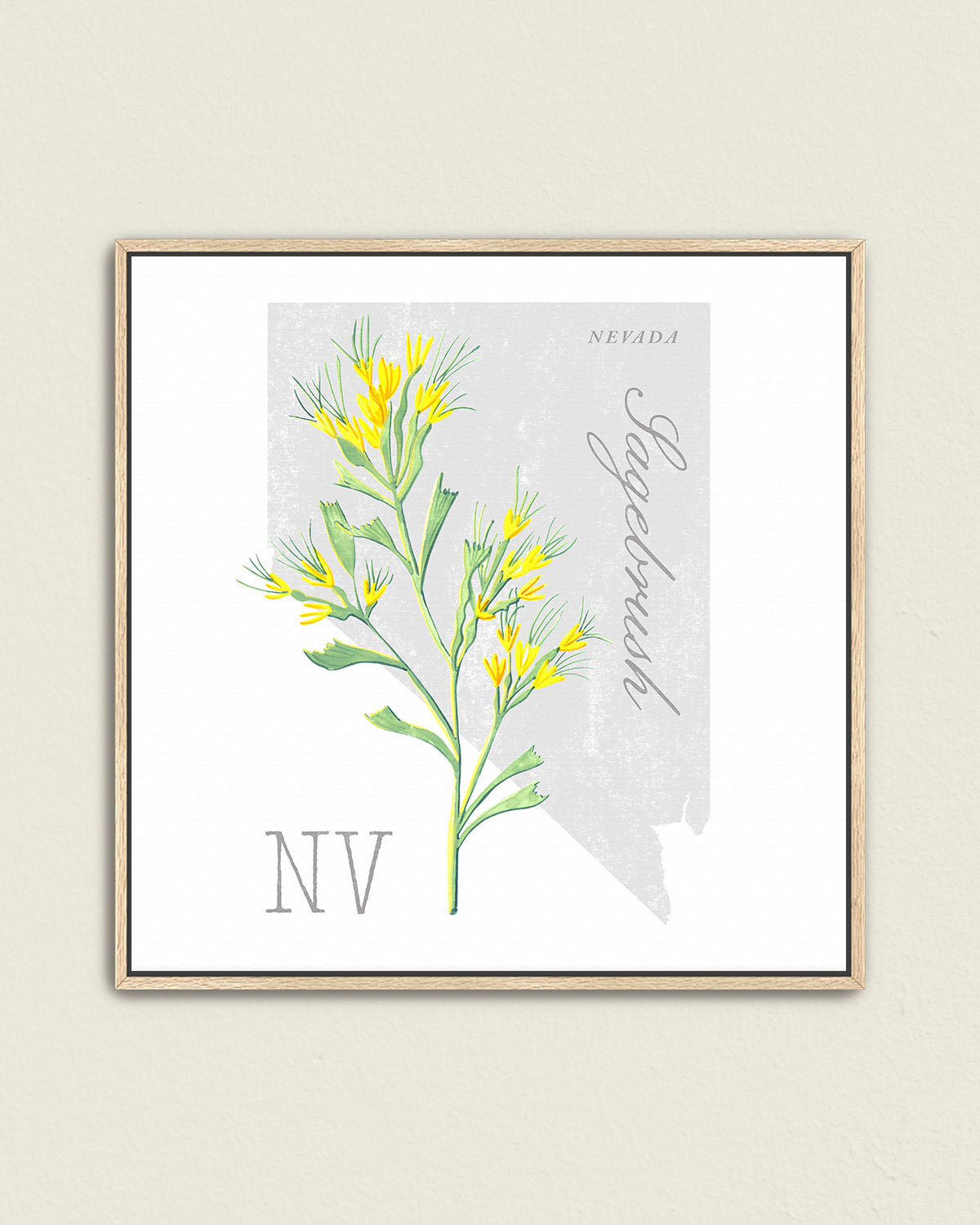 Nevada (Sagebrush) state flower fine art print, classic botanical style on white background. Oak frame available.