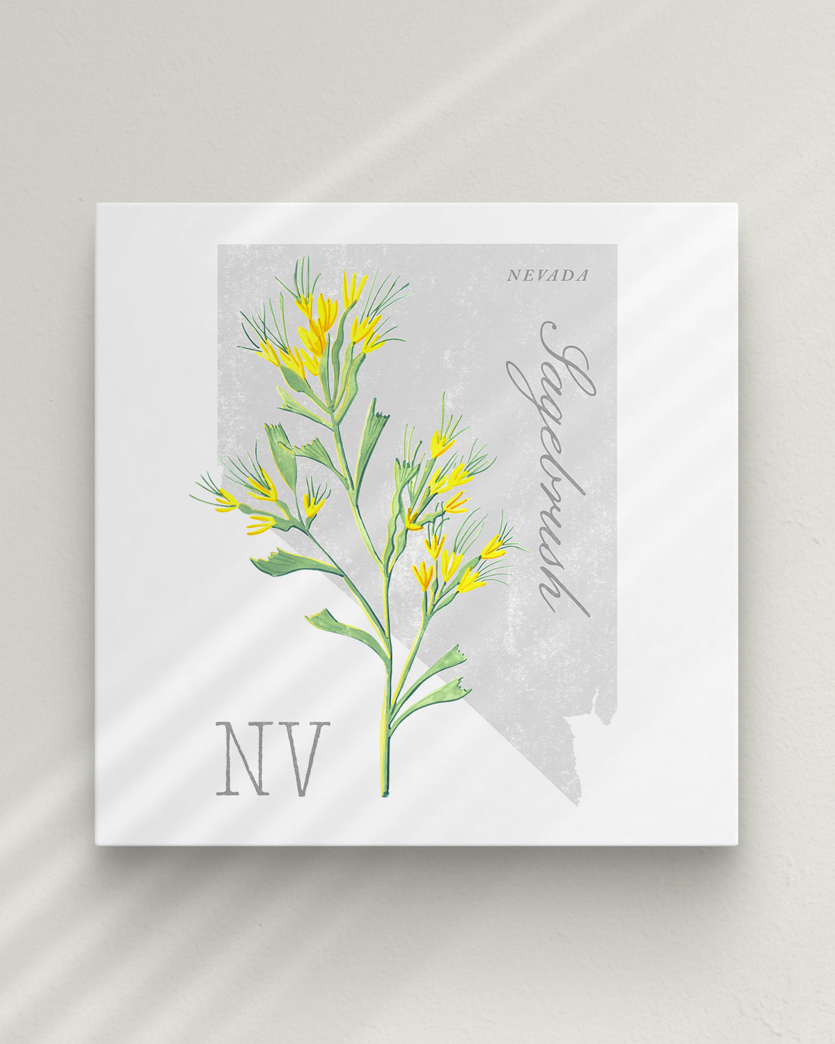 Nevada (Sagebrush) state flower fine art print, classic botanical style on white background. Oak frame available.