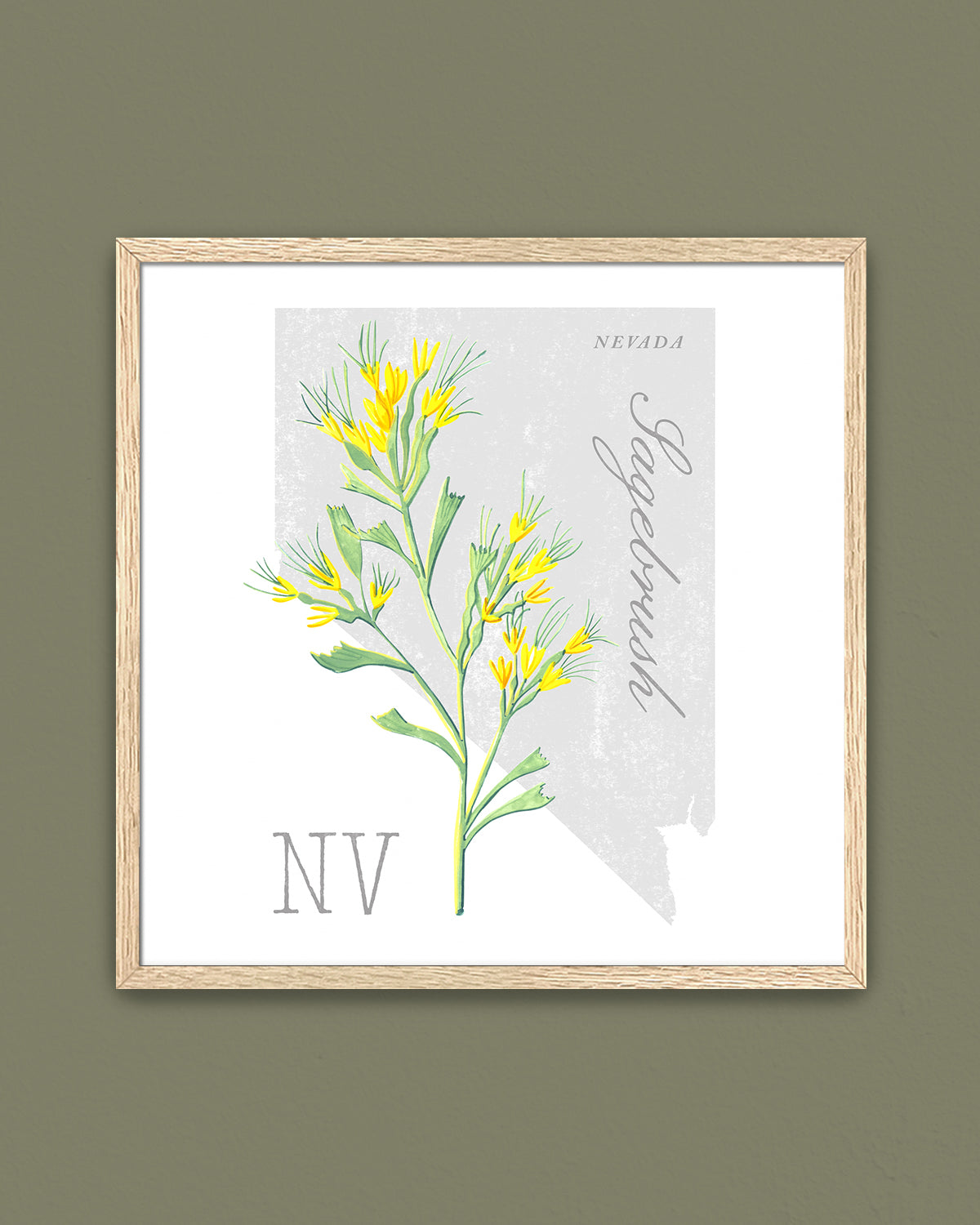 Nevada (Sagebrush) state flower fine art print, classic botanical style on white background. Oak frame available.