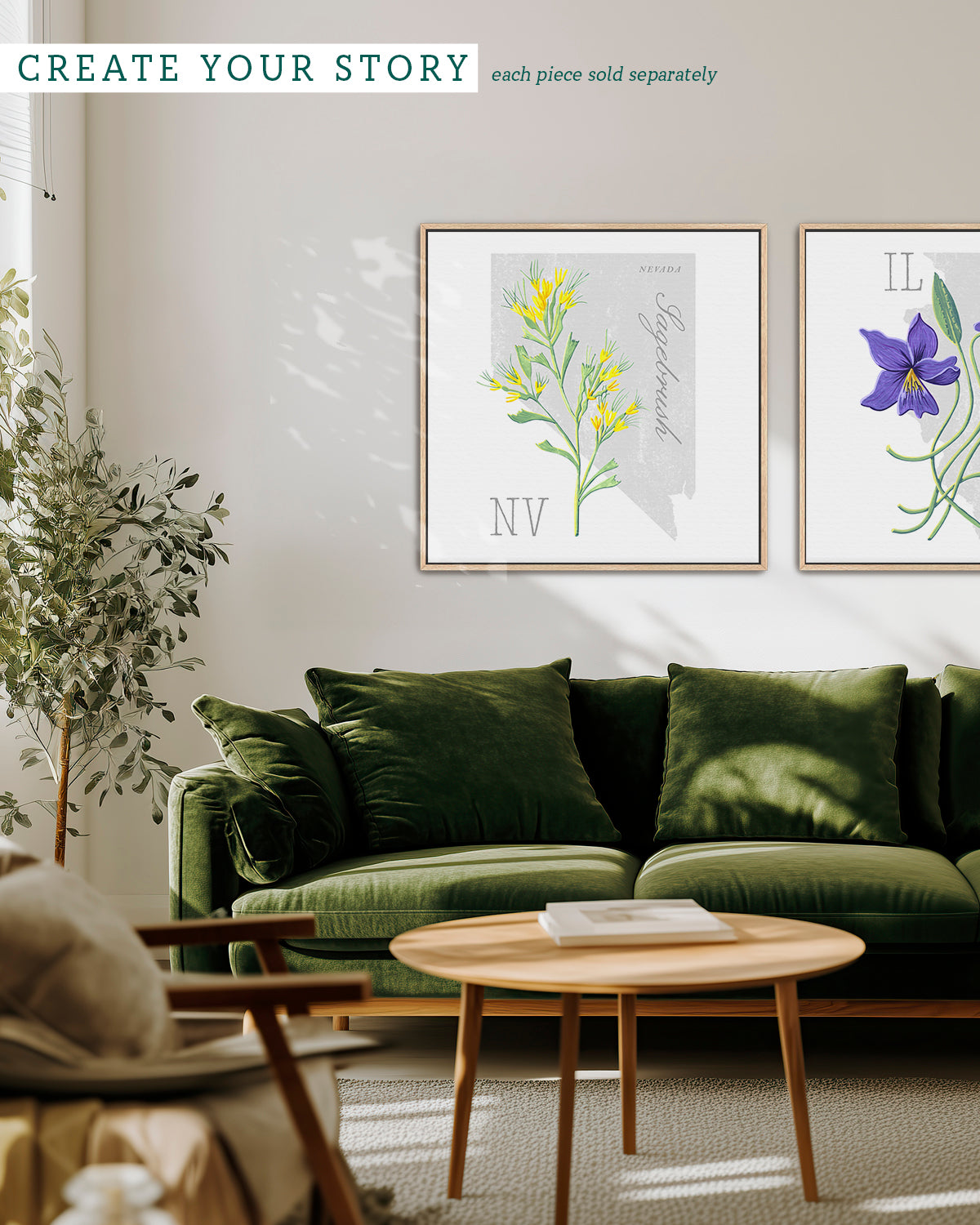 Nevada (Sagebrush) state flower fine art print, classic botanical style on white background. Oak frame available.