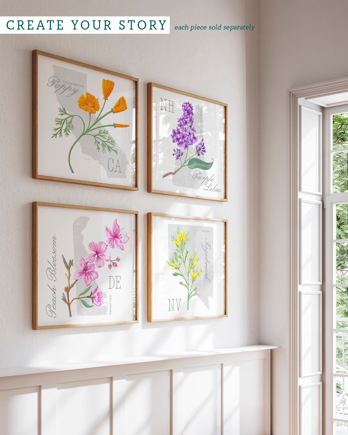 Nevada (Sagebrush) state flower fine art print, classic botanical style on white background. Oak frame available.