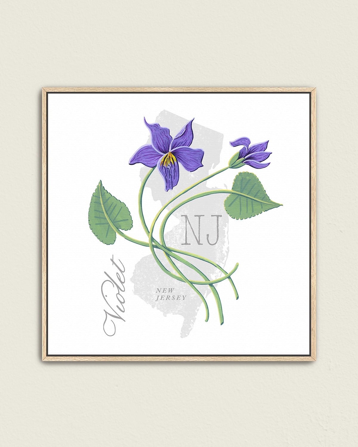 New Jersey (Violet) state flower fine art print, classic botanical style on white background. Oak frame available.