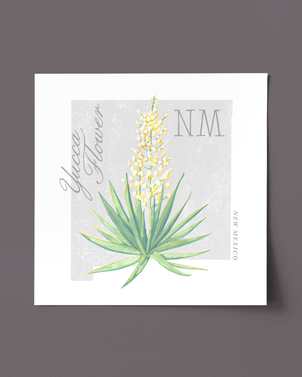 New Mexico (Yucca Flower) state flower fine art print, classic botanical style on white background. Oak frame available.