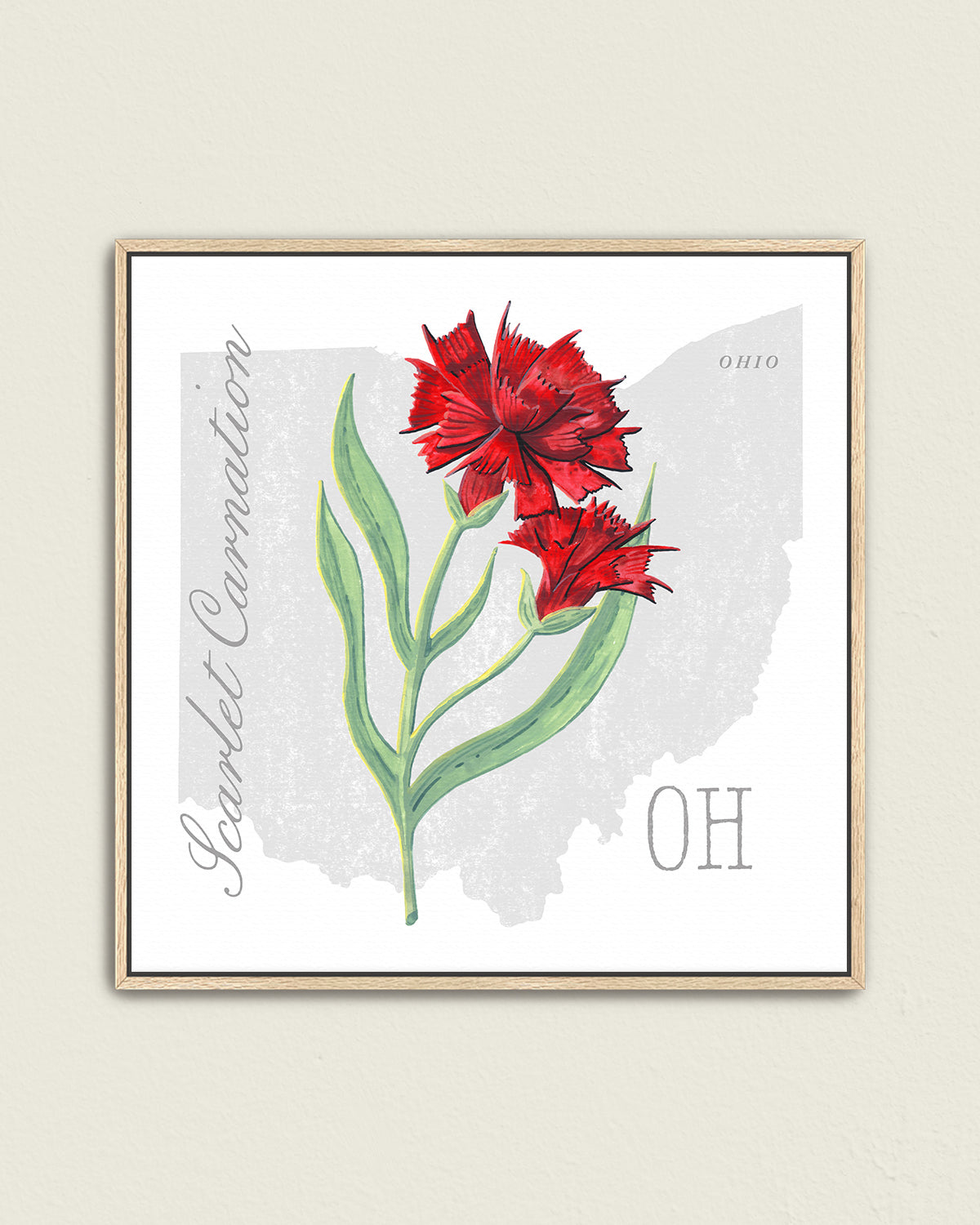Ohio (Scarlet Carnation) state flower fine art print, classic botanical style on white background. Oak frame available.