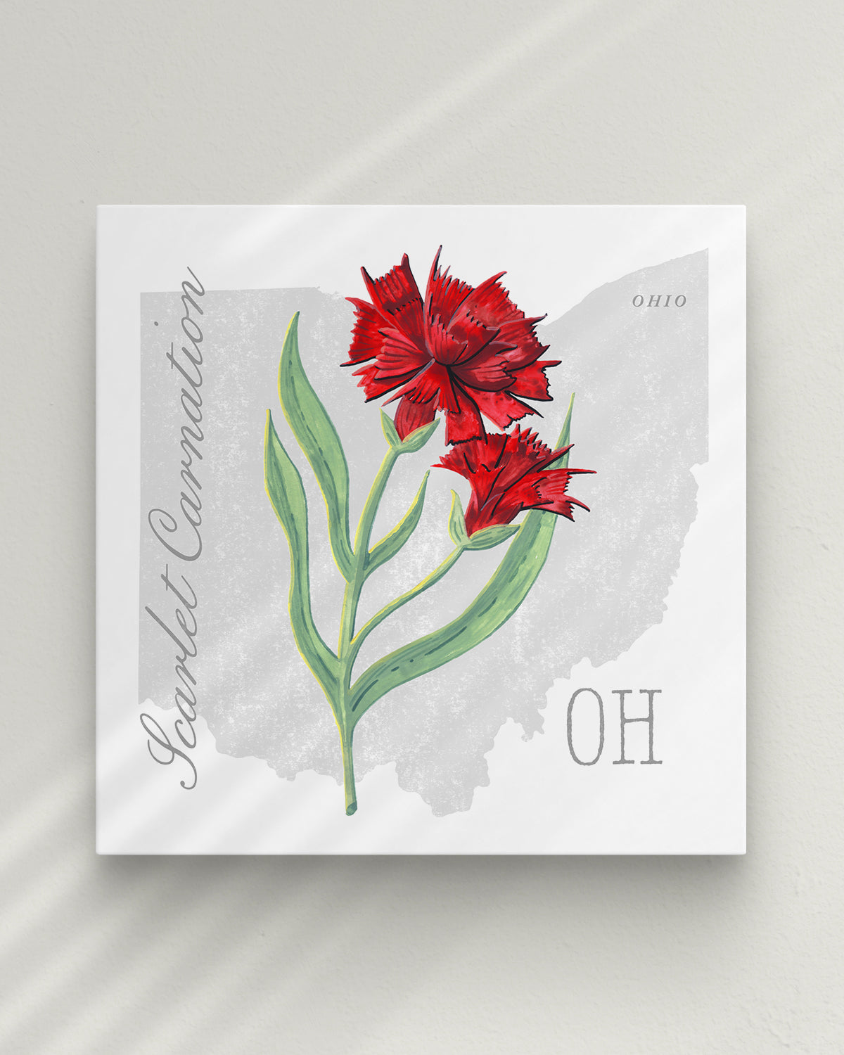Ohio (Scarlet Carnation) state flower fine art print, classic botanical style on white background. Oak frame available.