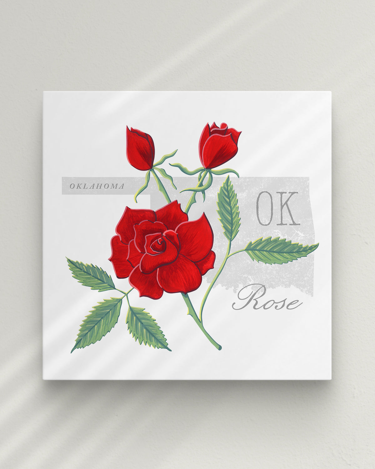 Oklahoma (Rose) state flower fine art print, classic botanical style on white background. Oak frame available.