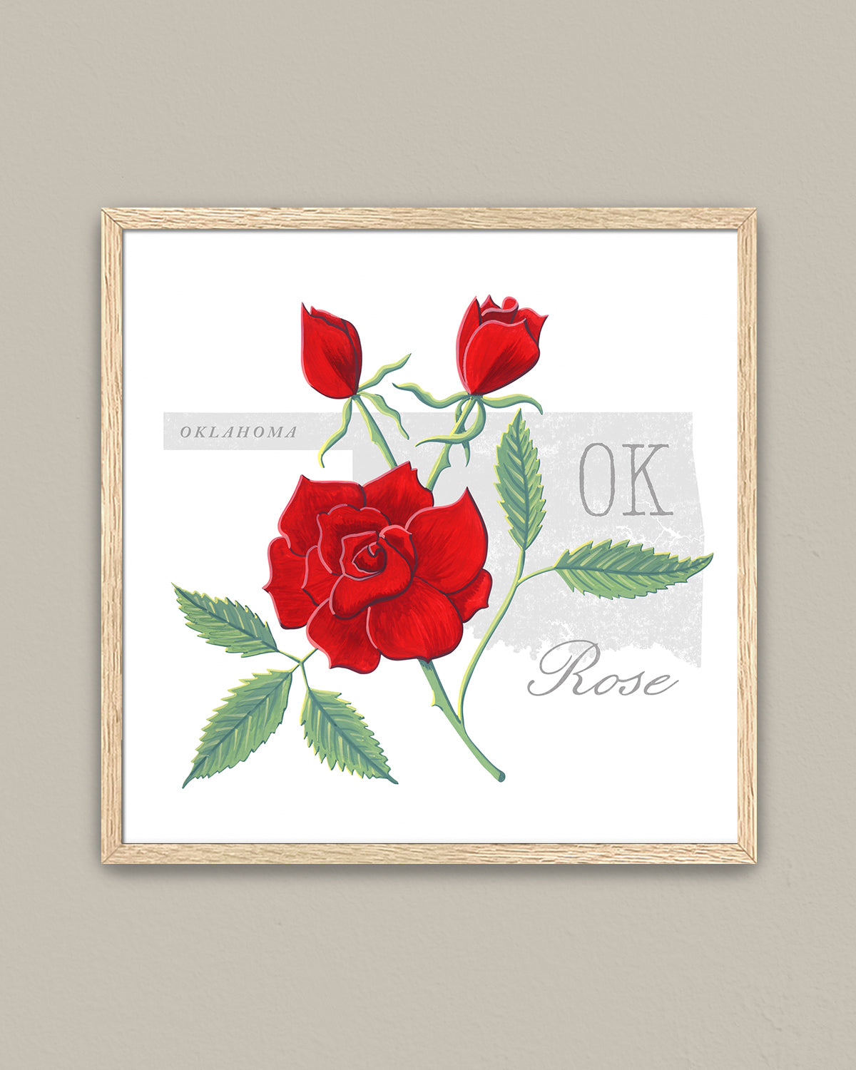 Oklahoma (Rose) state flower fine art print, classic botanical style on white background. Oak frame available.