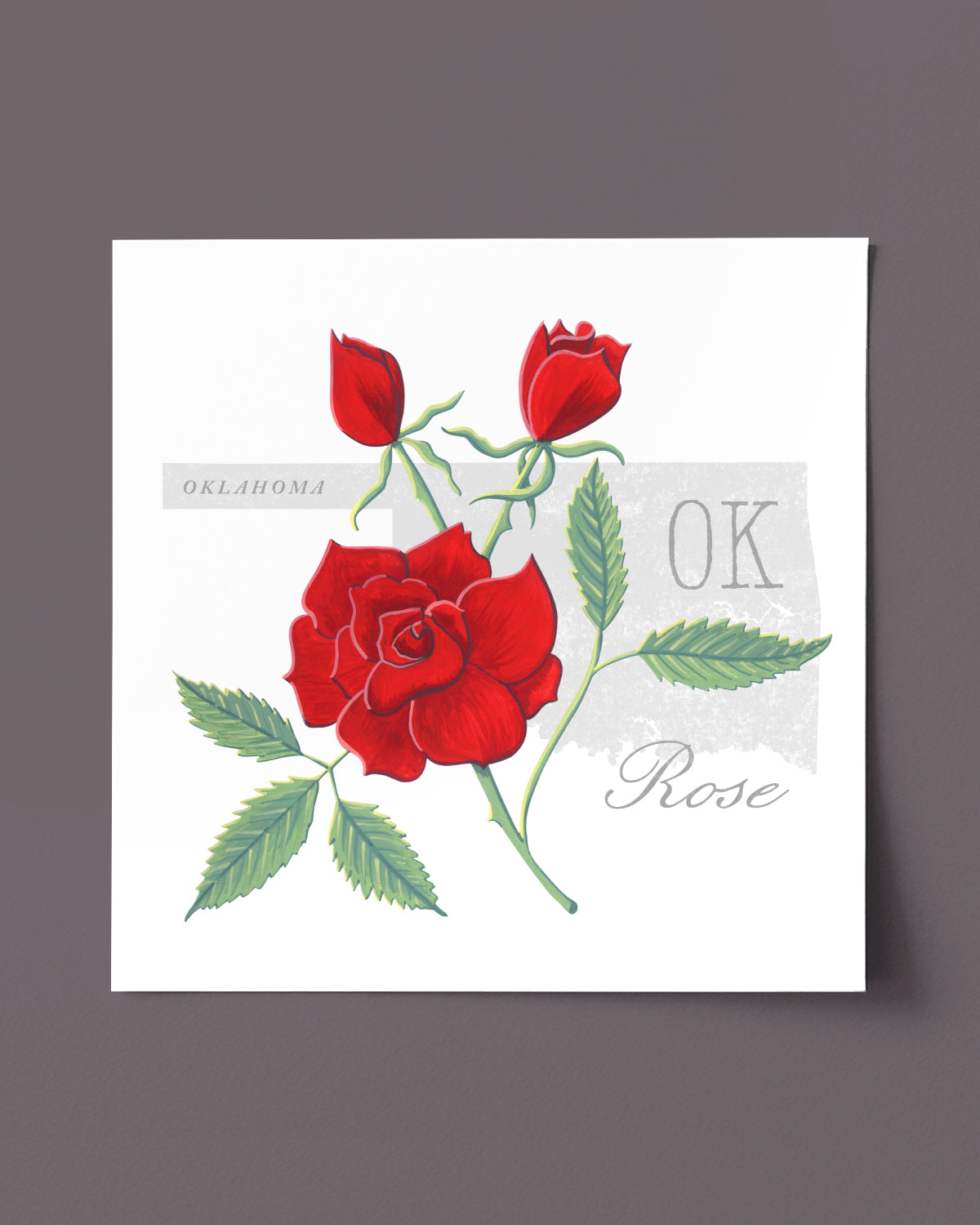 Oklahoma (Rose) state flower fine art print, classic botanical style on white background. Oak frame available.