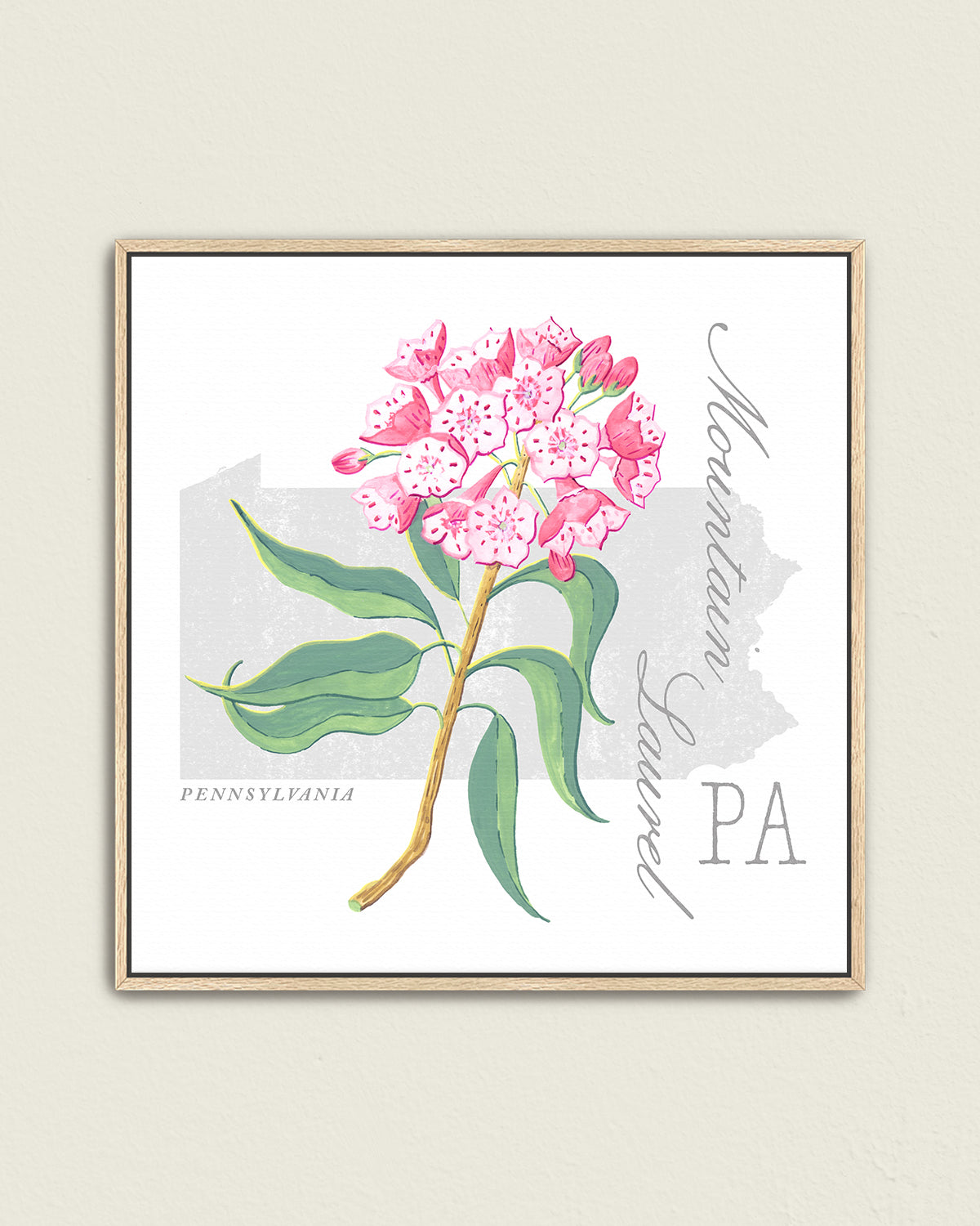 Pennsylvania (Mountain Laurel) state flower fine art print, classic botanical style on white background. Oak frame available.