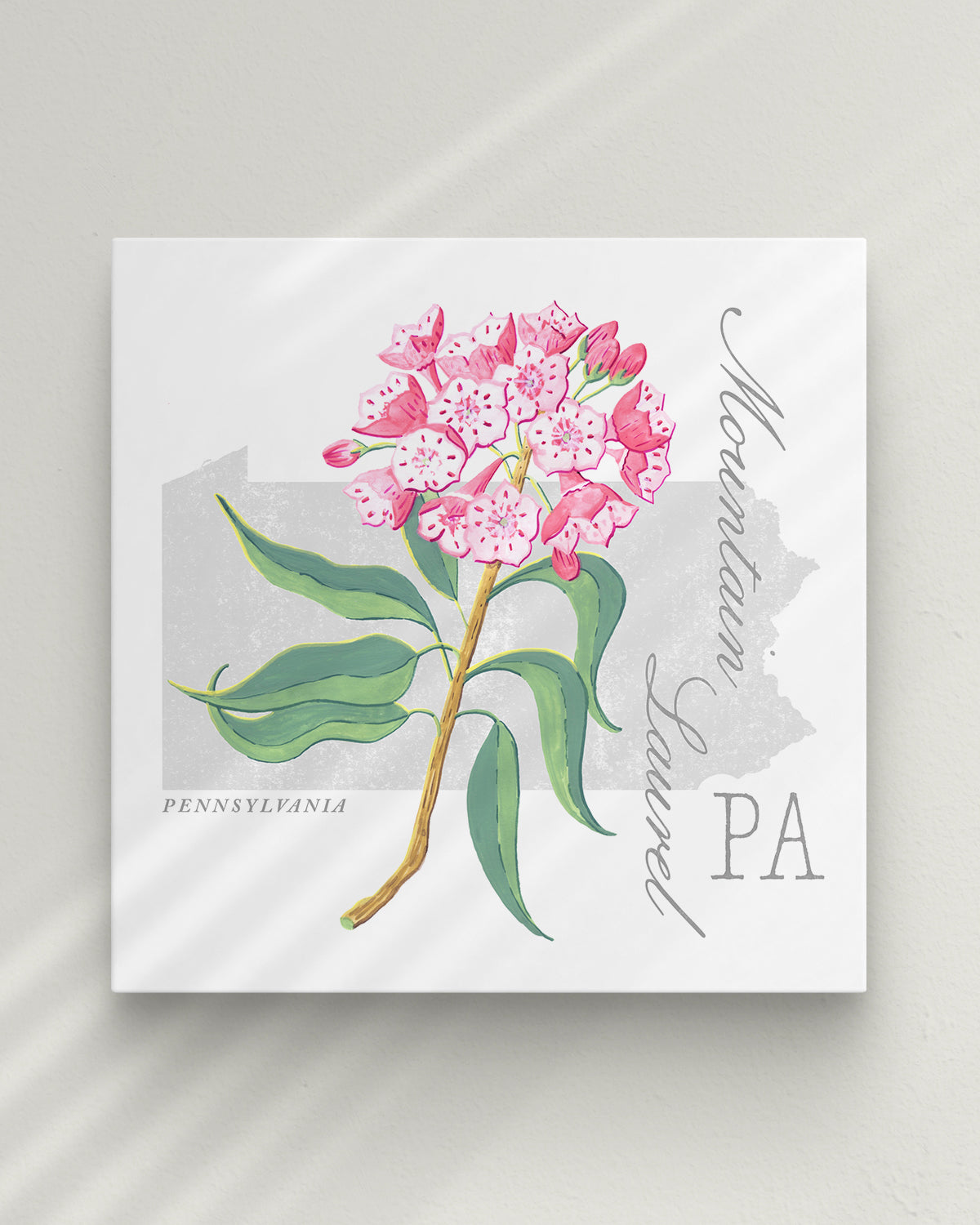 Pennsylvania (Mountain Laurel) state flower fine art print, classic botanical style on white background. Oak frame available.