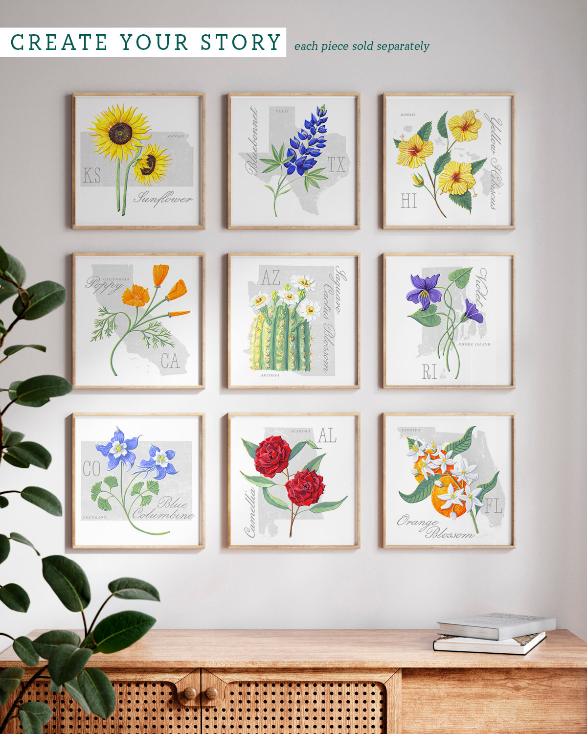 Rhode Island (Violet) state flower fine art print, classic botanical style on white background. Oak frame available.