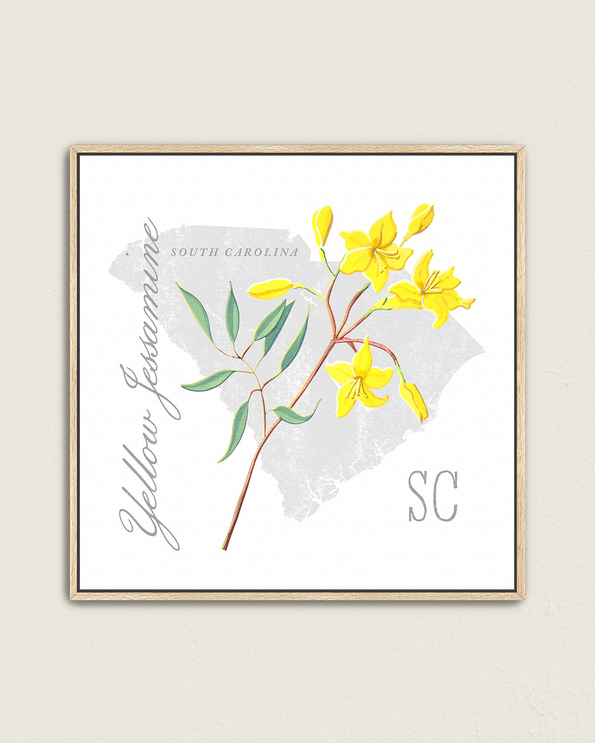 South Carolina (Yellow Jessamine) state flower fine art print, classic botanical style on white background. Oak frame available.
