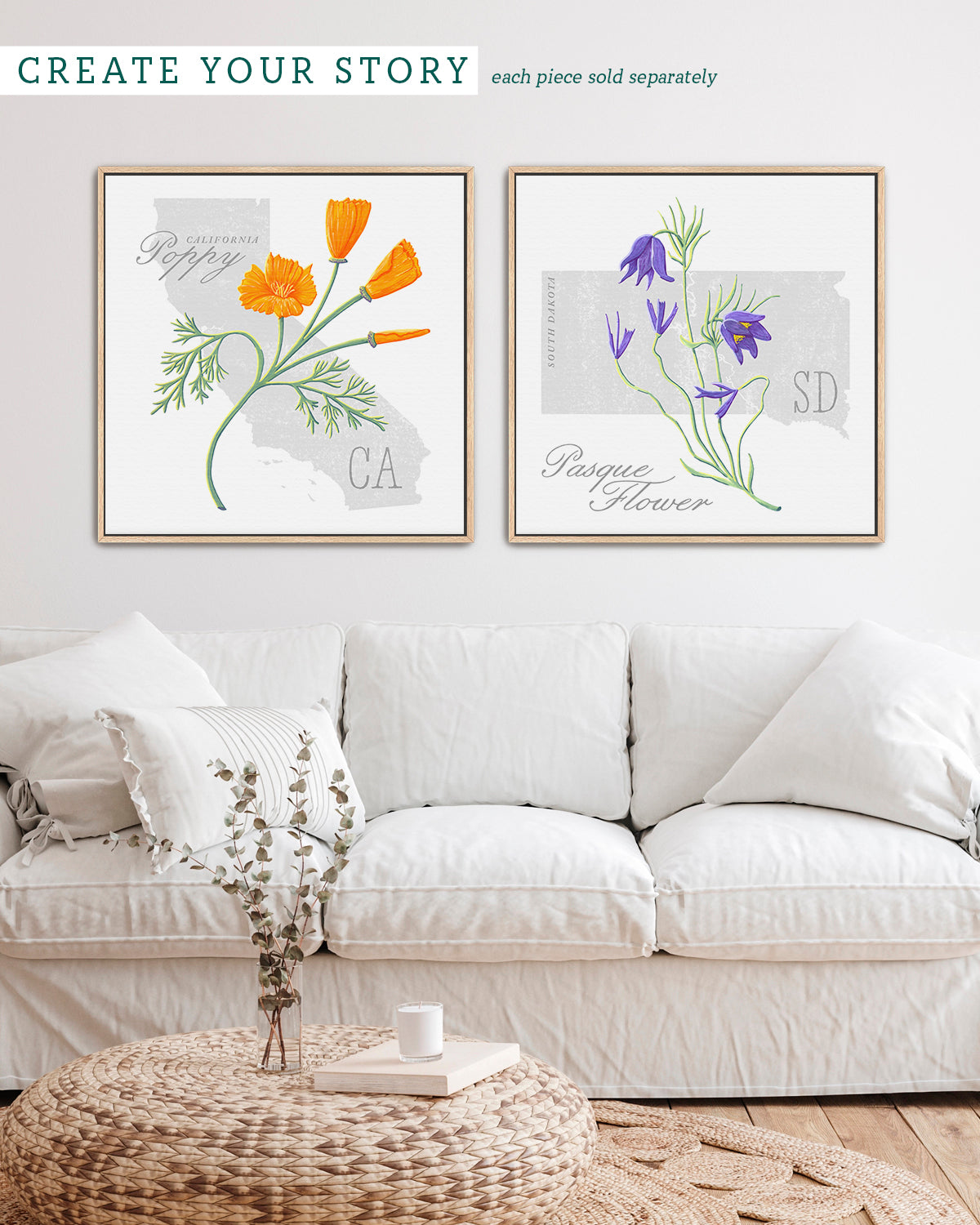 South Dakota (Pasque Flower) state flower fine art print, classic botanical style on white background. Oak frame available.