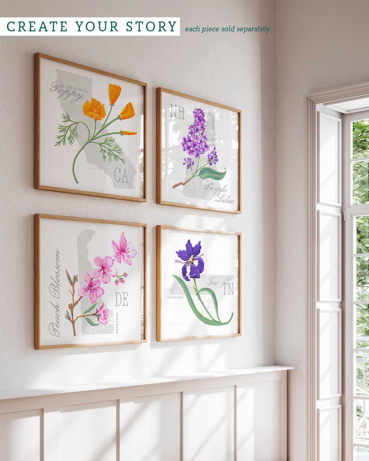 Tennessee (Iris) state flower fine art print, classic botanical style on white background. Oak frame available.