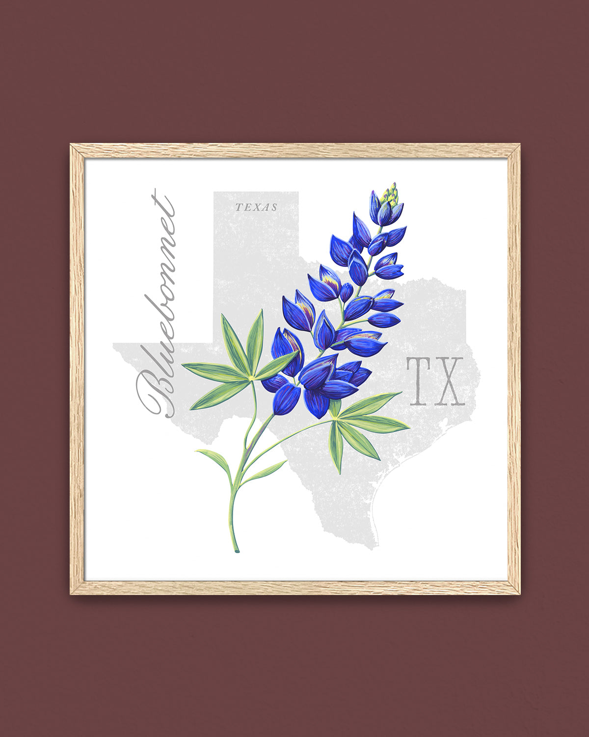 Texas (Bluebonnet) state flower fine art print, classic botanical style on white background. Oak frame available.