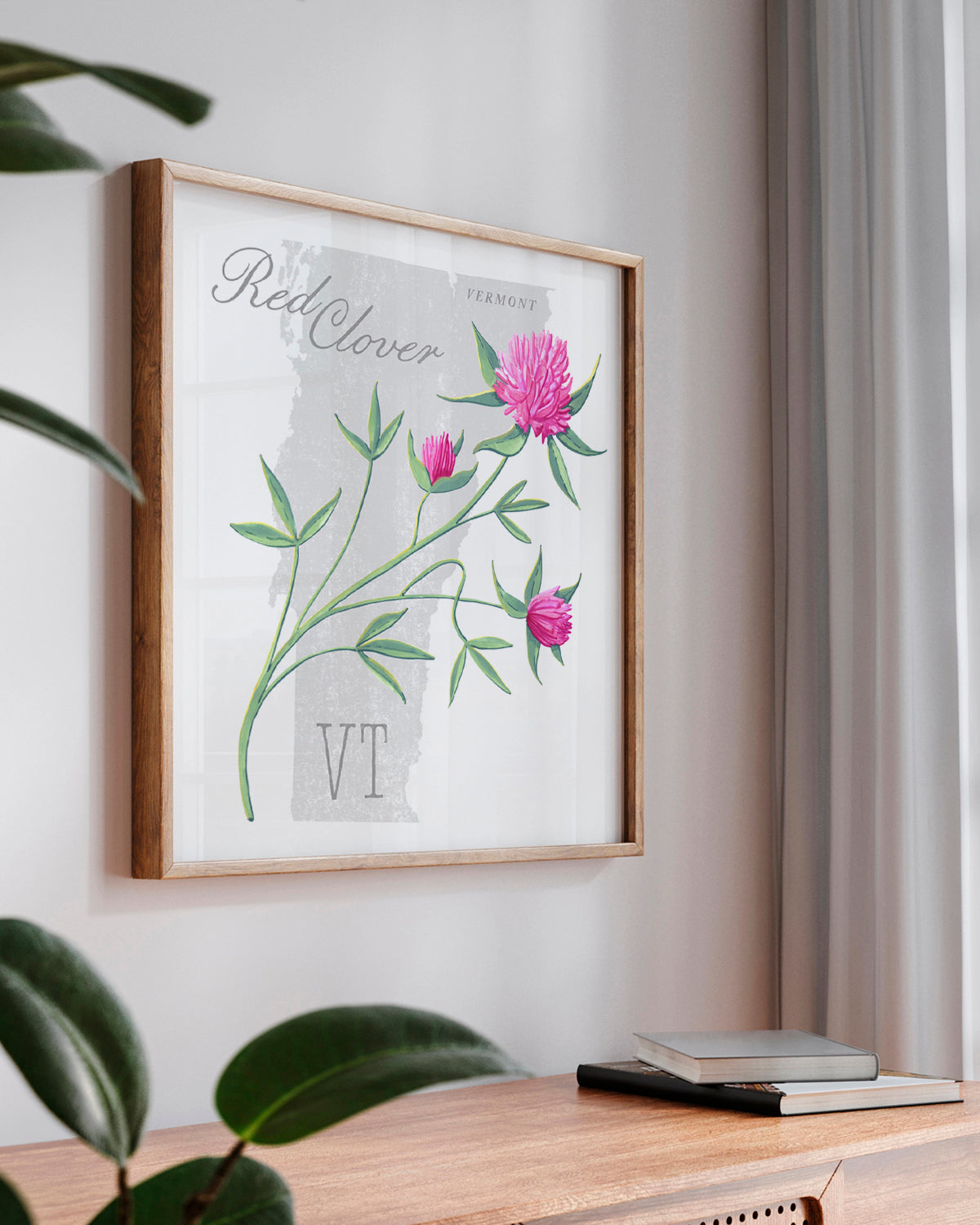 Vermont (Red Clover) state flower fine art print, classic botanical style on white background. Oak frame available.