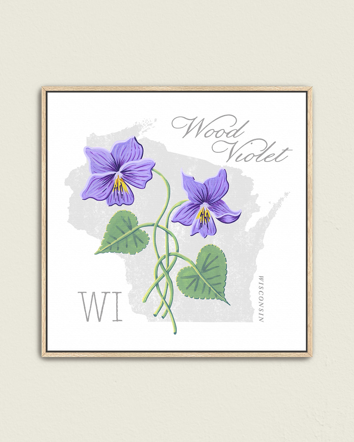 Wisconsin (Wood Violet) state flower fine art print, classic botanical style on white background. Oak frame available.