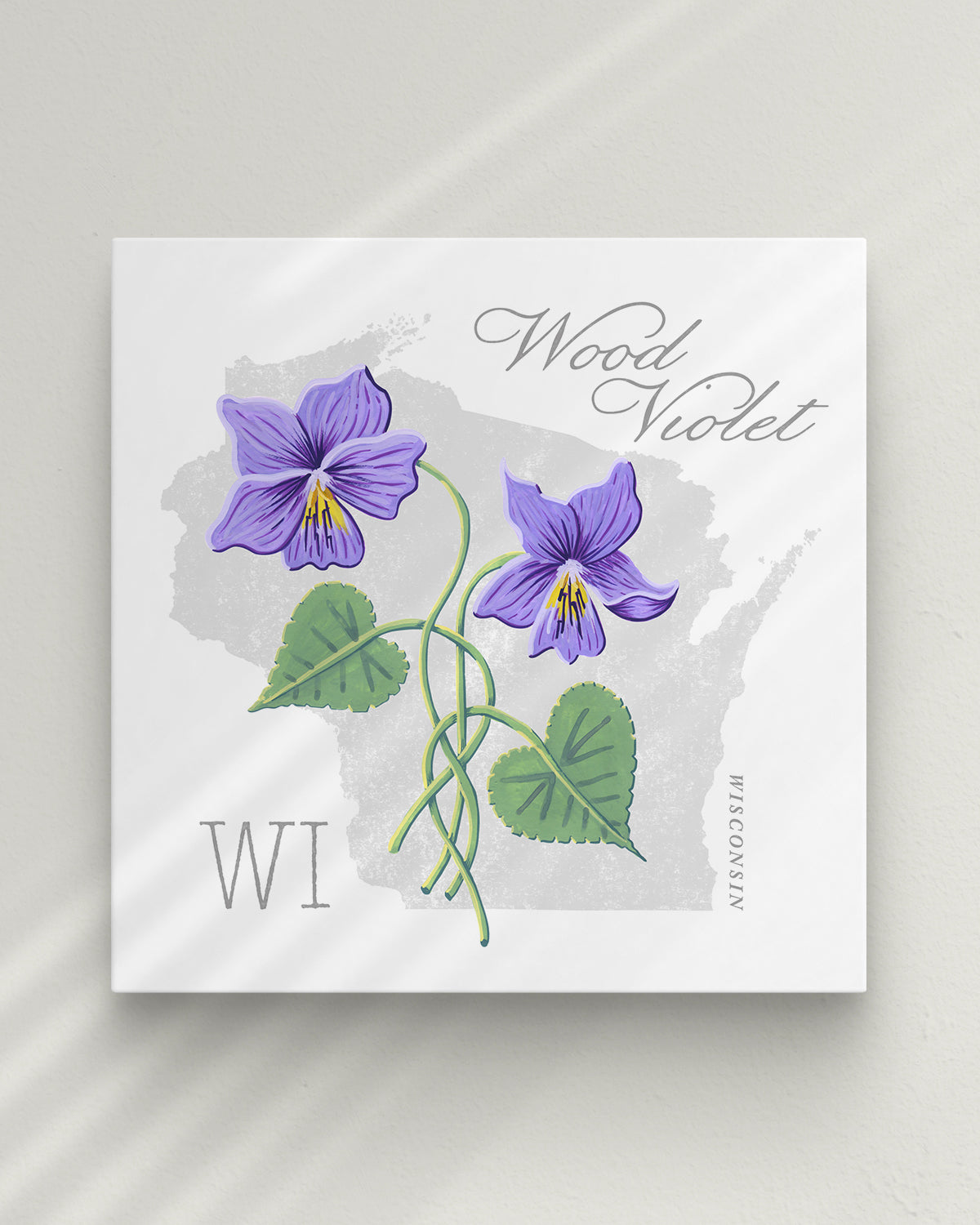 Wisconsin (Wood Violet) state flower fine art print, classic botanical style on white background. Oak frame available.