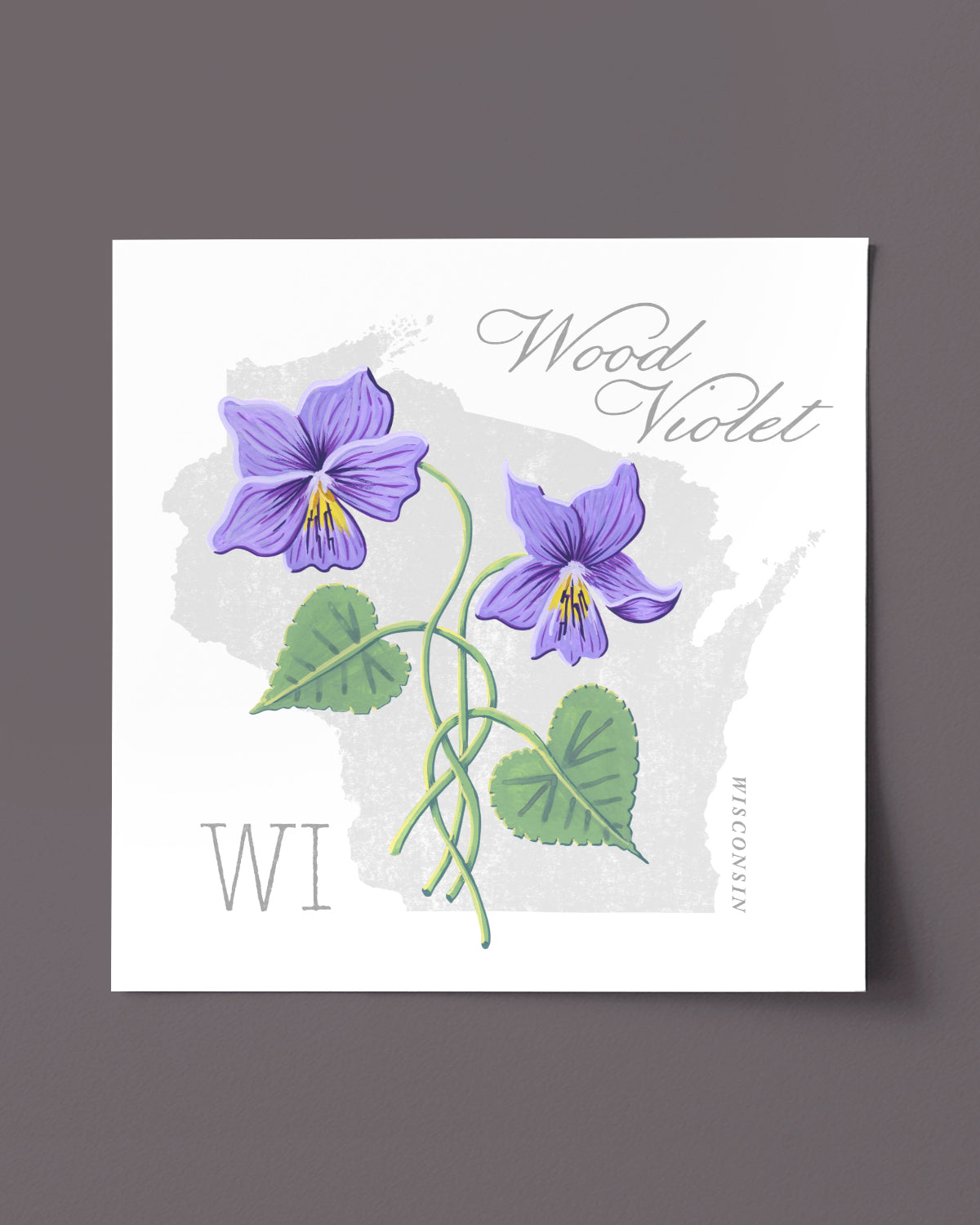 Wisconsin (Wood Violet) state flower fine art print, classic botanical style on white background. Oak frame available.