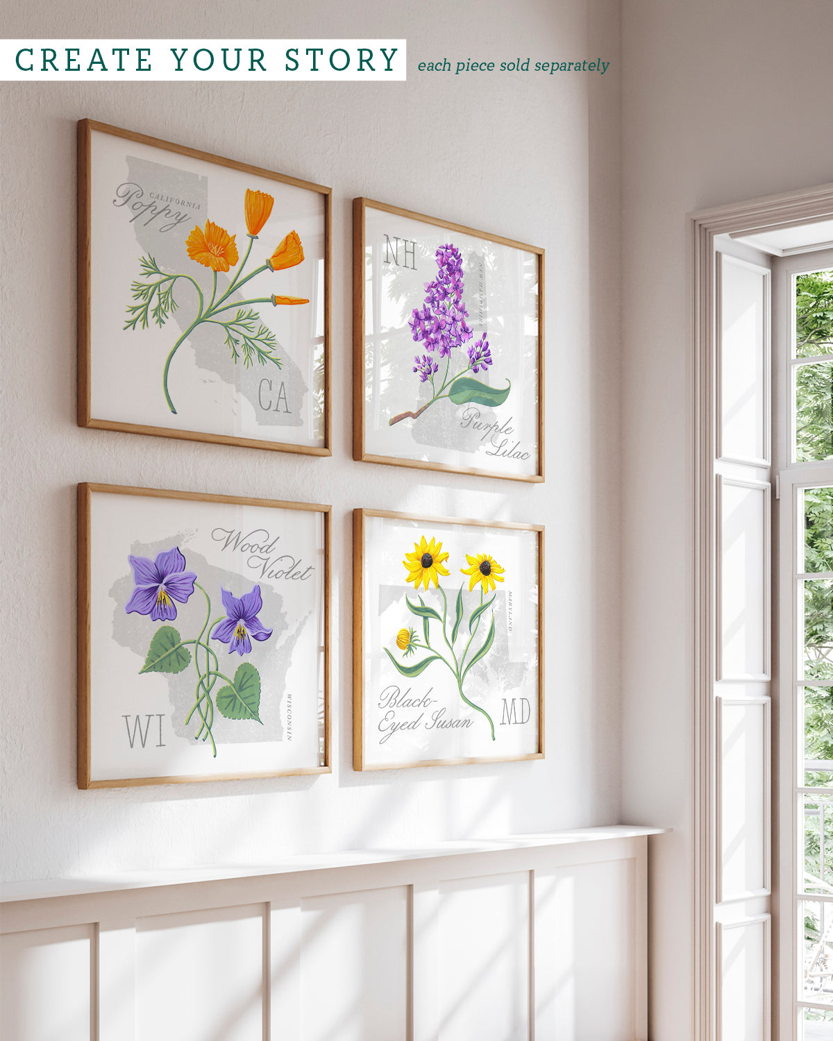 Wisconsin (Wood Violet) state flower fine art print, classic botanical style on white background. Oak frame available.