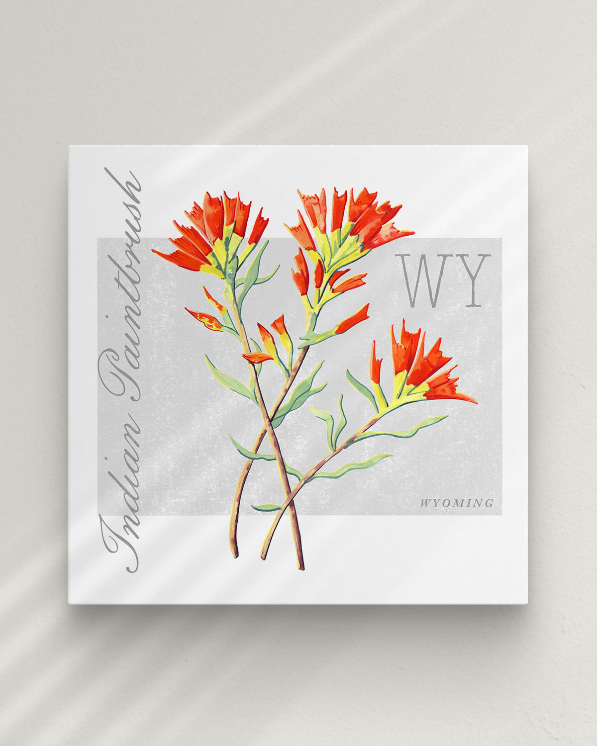 Wyoming (Indian Paintbrush) state flower fine art print, classic botanical style on white background. Oak frame available.