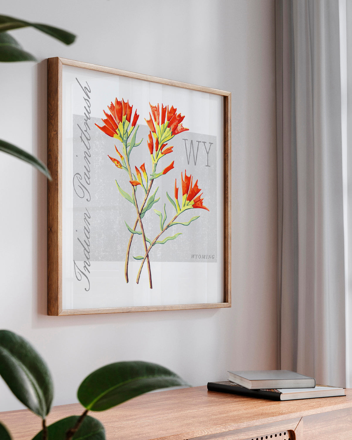 Wyoming (Indian Paintbrush) state flower fine art print, classic botanical style on white background. Oak frame available.