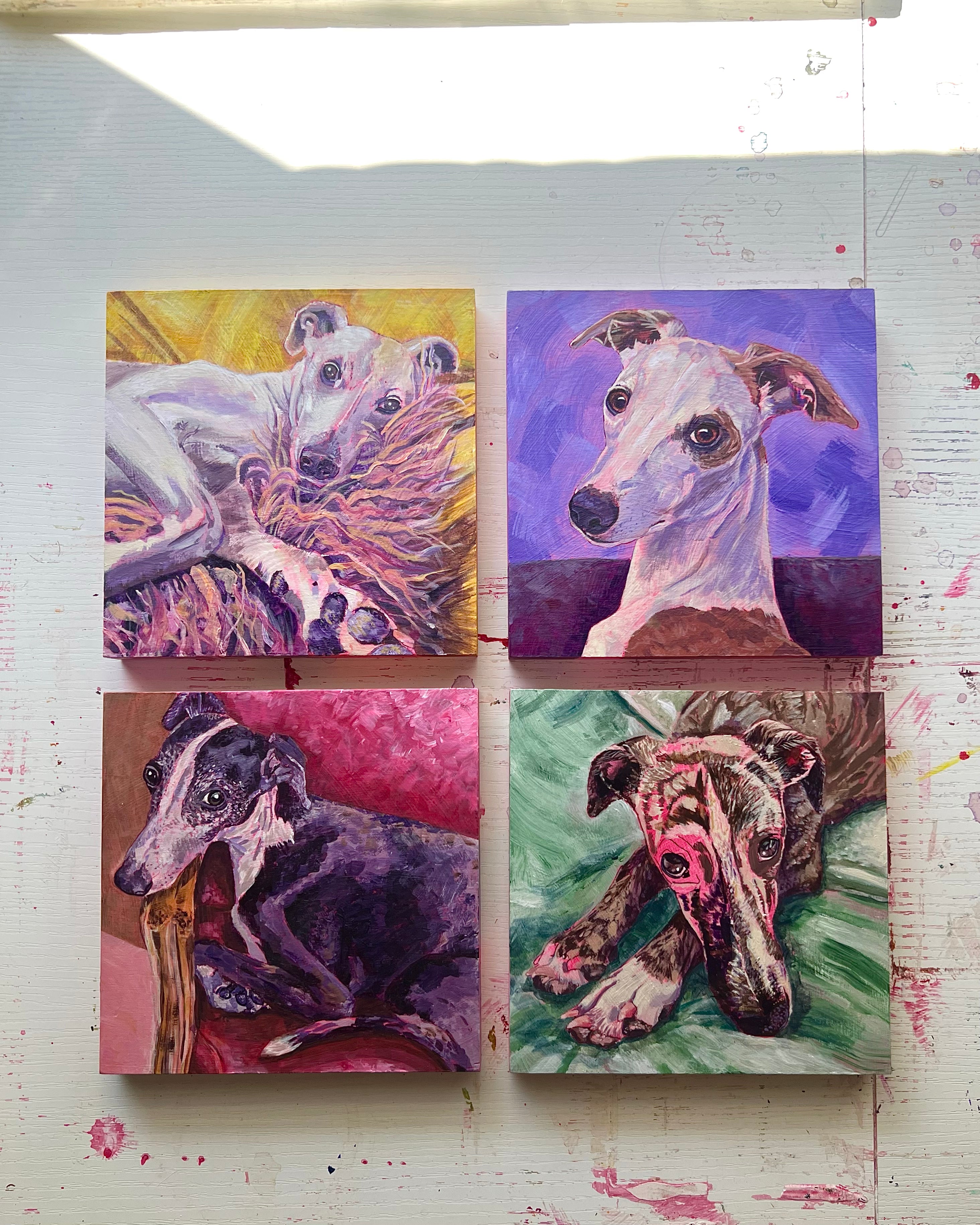 Four paintings of whippets by Jen Montgomery on a textured desk.