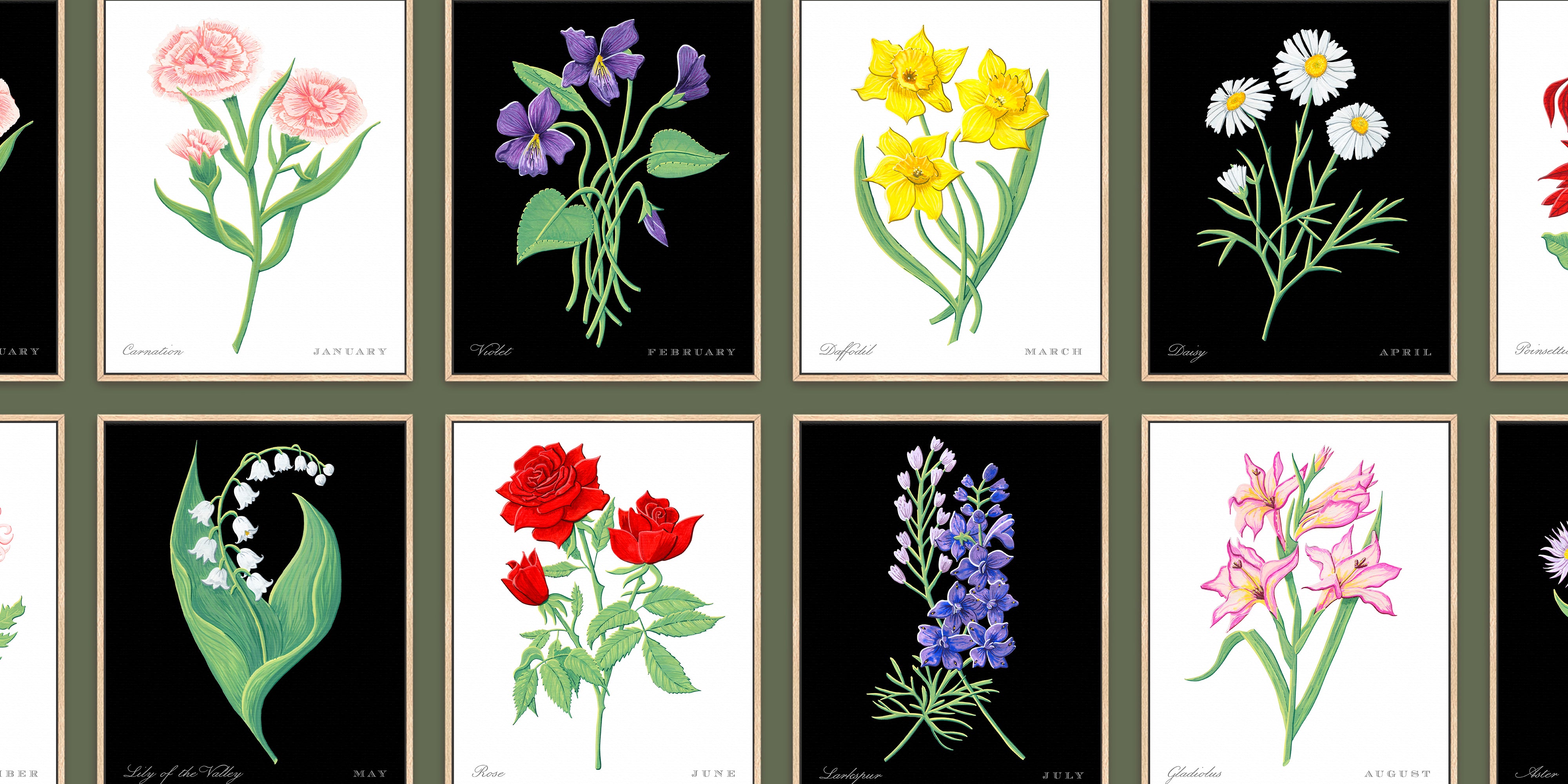 A grid of botanical art prints by Jen Momtgomery showing different flowers on black backgrounds, including pink carnations, purple irises, yellow daffodils, white daisies, lily of the valley, red roses, blue delphiniums, and pink lilies, with a dark olive border around the prints. These are birth month florals.